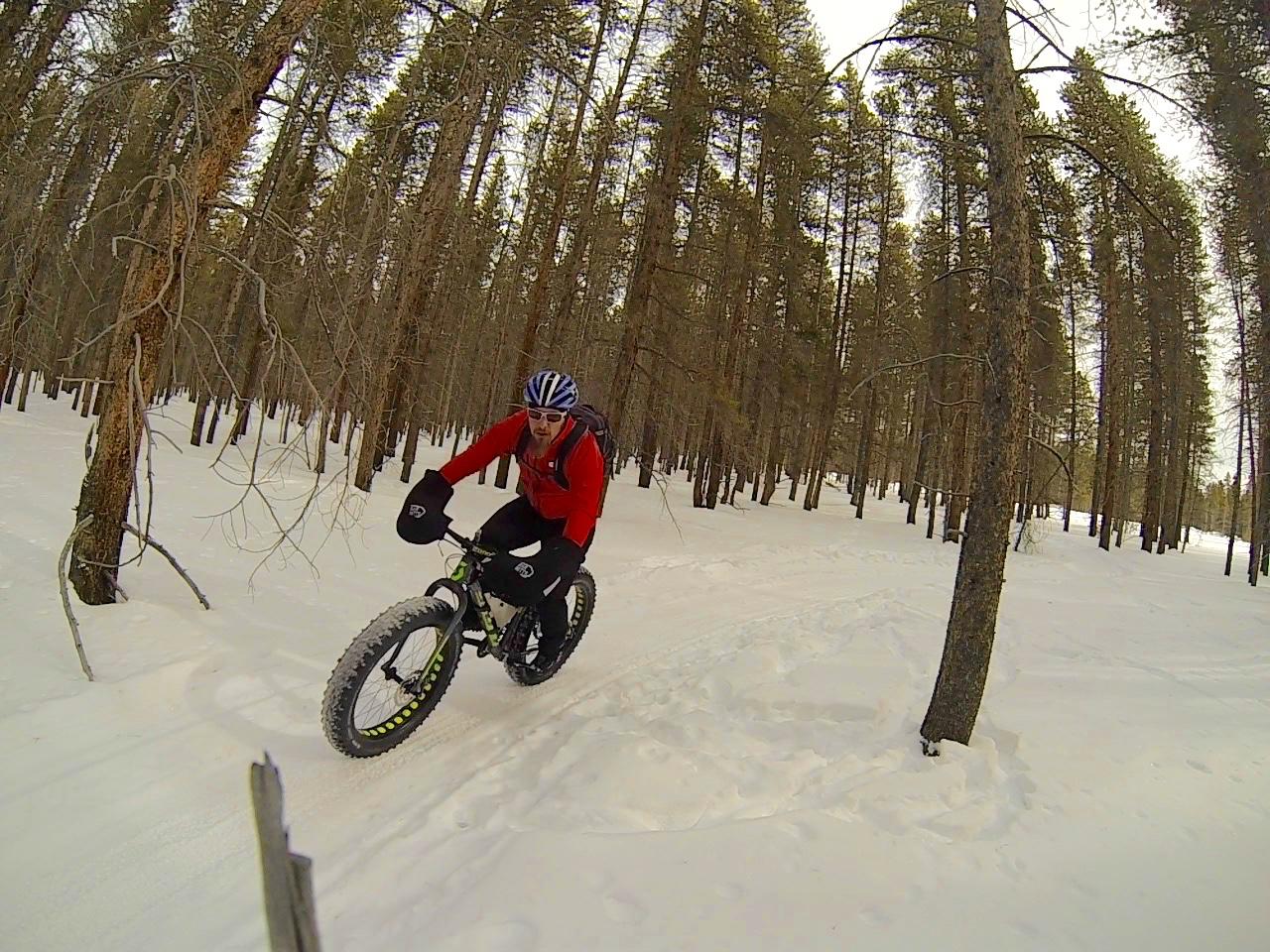 A person riding a fat bike through a snowy forest, surrounded by tall pine trees. The cyclist is wearing a red jacket and black gloves, set against a backdrop of white snow and muted winter colors. Colorado Mountain College Trails mountain bike trail.