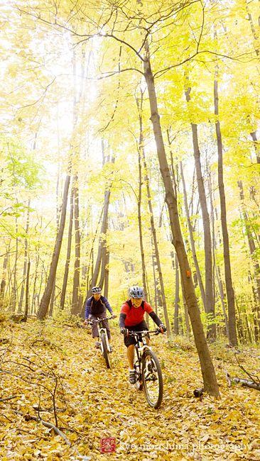 Two mountain bikers ride through a forest with vibrant autumn foliage. The trees are adorned with bright yellow leaves, and the ground is covered in fallen leaves, creating a picturesque autumn scene. Sunlight filters through the trees, casting a warm glow on the landscape. Allamuchy State Park-North mountain bike trail.