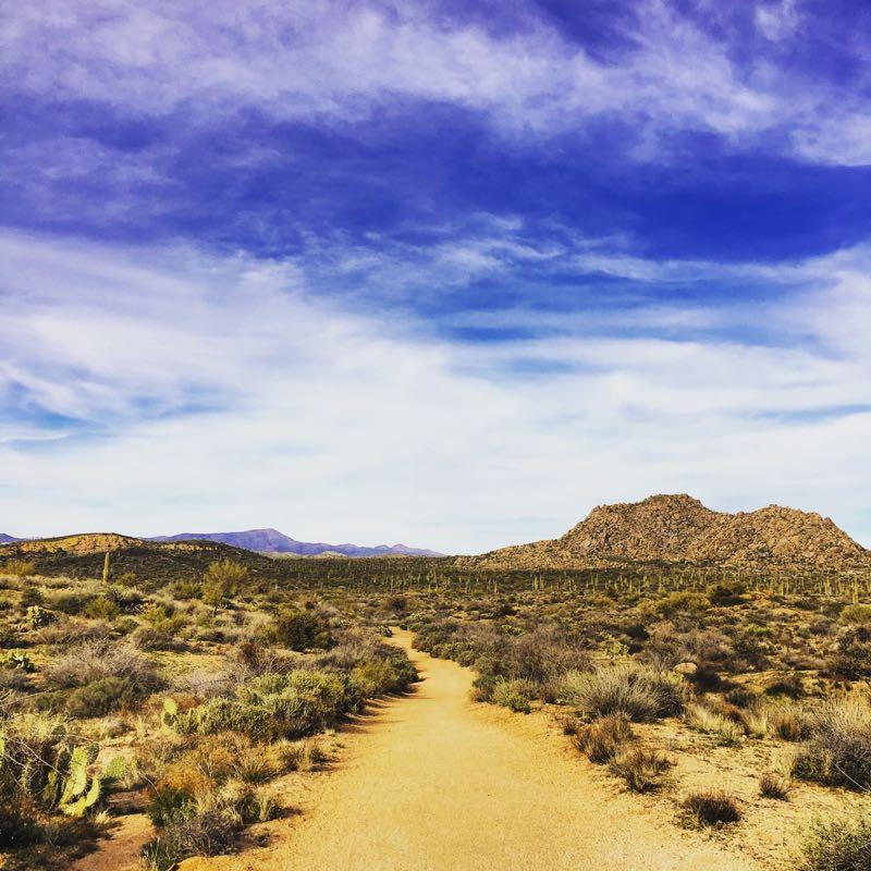A winding dirt path leads through a desert landscape under a bright blue sky with wispy clouds. The terrain features diverse vegetation, including cacti and shrubs, with rocky mountains visible in the distance. The scene captures the serene beauty of the arid environment. Brown's Ranch to Granite Mountain mountain bike trail.