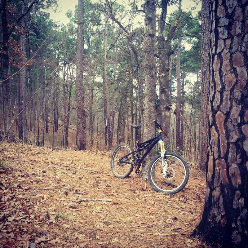 A mountain bike resting on a dirt trail surrounded by tall pine trees and a forested landscape, with fallen leaves and pine needles covering the ground. Tyler State Park mountain bike trail.