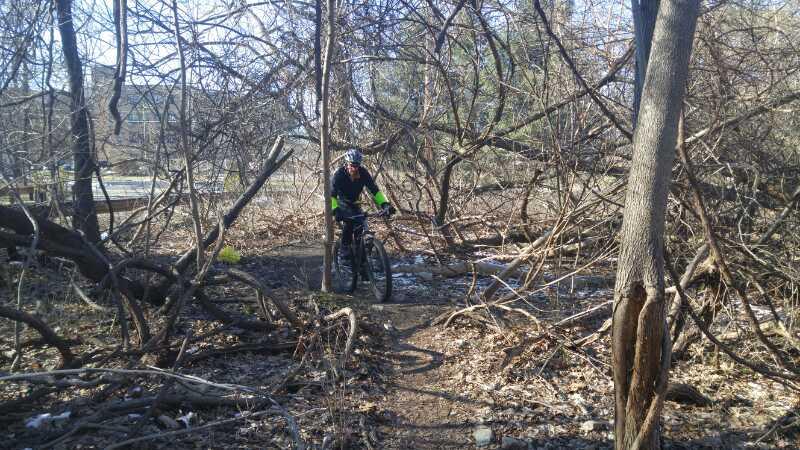 A cyclist navigating a narrow trail surrounded by dense foliage and fallen branches in a wooded area during early spring. The cyclist is wearing a helmet and a jacket with bright green sleeves, while patches of snow can be seen on the ground. Belmont Plateau mountain bike trail.