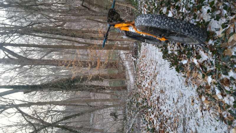 A fat-tire mountain bike resting on snowy ground amidst a forest of bare trees and scattered leaves. The scene captures a serene winter landscape, with a hint of ivy in the foreground and a light dusting of snow on the ground. Wissahickon Valley Park mountain bike trail.