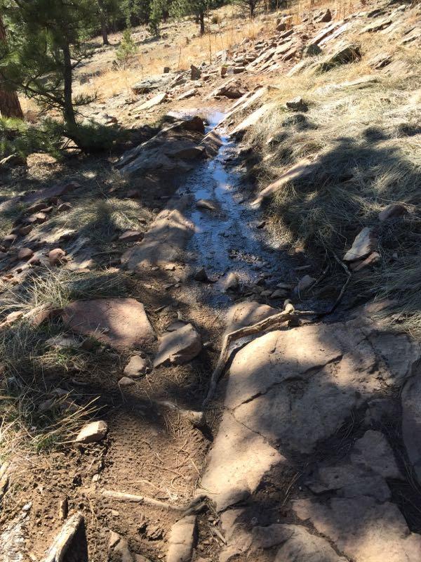 A dirt path with smooth rocks and patches of grass alongside a shallow stream of water flowing down the trail, surrounded by trees and rocky terrain. Heil Valley Ranch mountain bike trail.