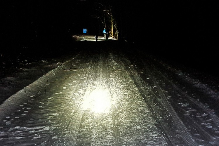 A dimly lit snowy path surrounded by trees at night, with two figures walking in the distance. The ground shows tire tracks and footprints on the snow, and a faint light source illuminates part of the path. A sign is visible in the background.