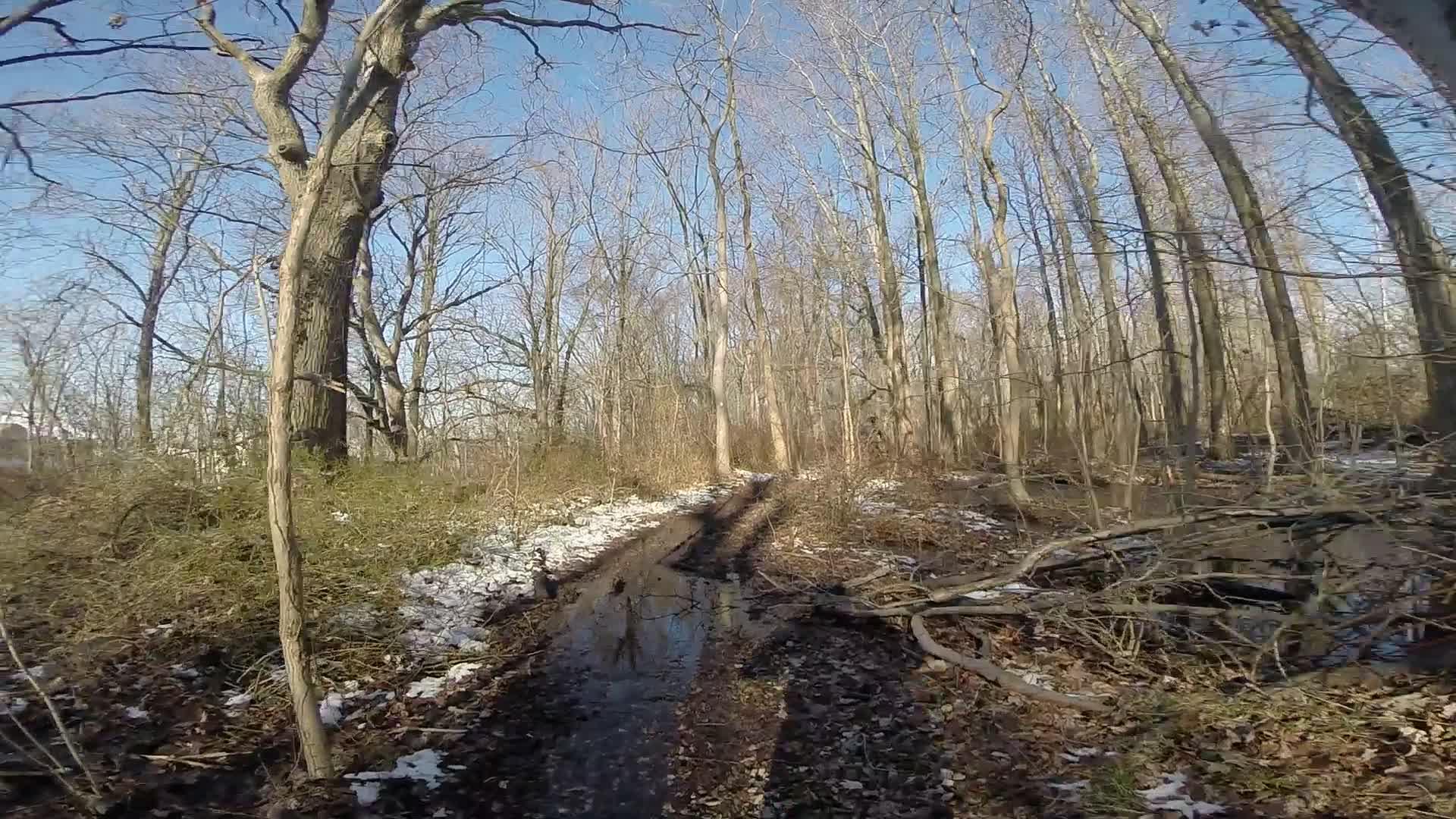A winding dirt path through a wooded area, surrounded by bare trees and patches of snow. Sunlight filters through the branches, illuminating small puddles on the trail. Richmond Avenue and Forest Hill road mountain bike trail.