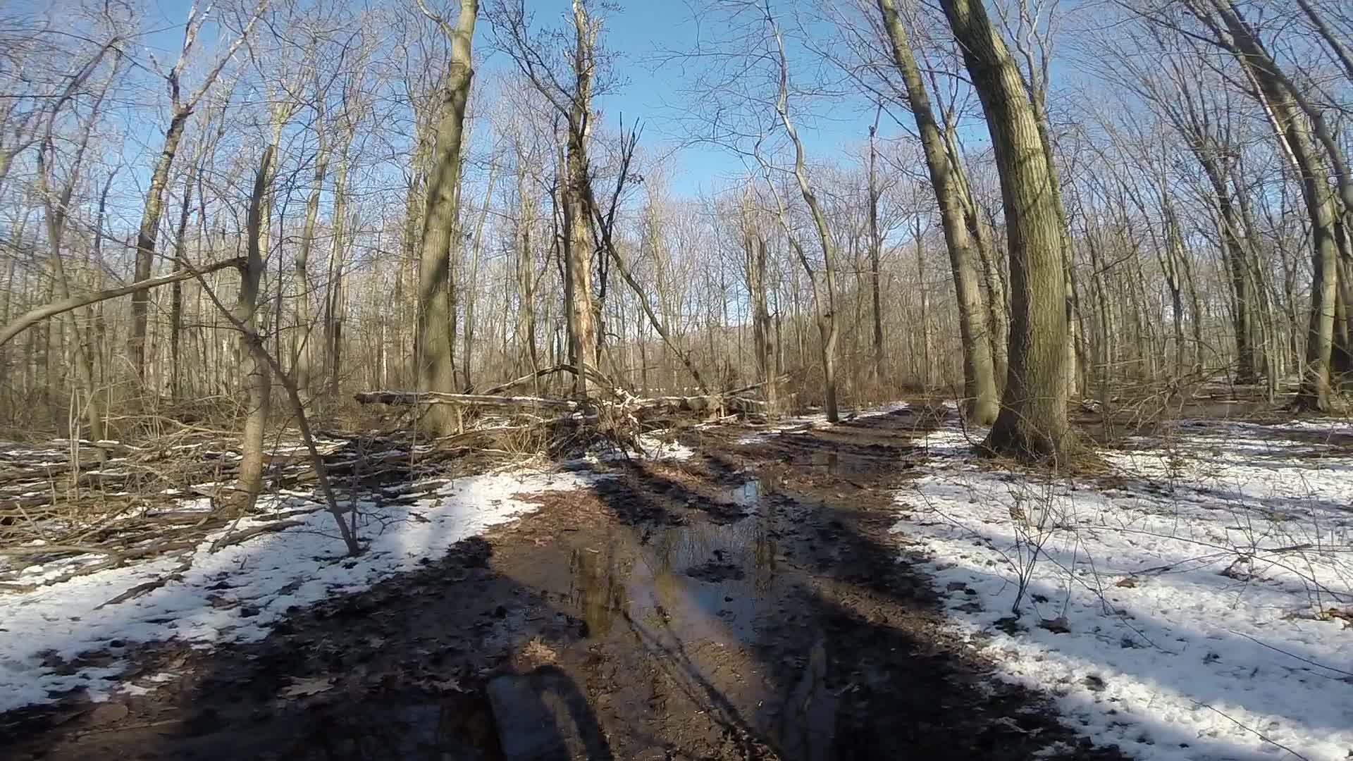A wooded area in winter with bare trees and a muddy path. Patches of snow are visible along the ground, indicating the season. The sky is clear and blue, and scattered branches and fallen logs are present in the scene. Richmond Avenue and Forest Hill road mountain bike trail.