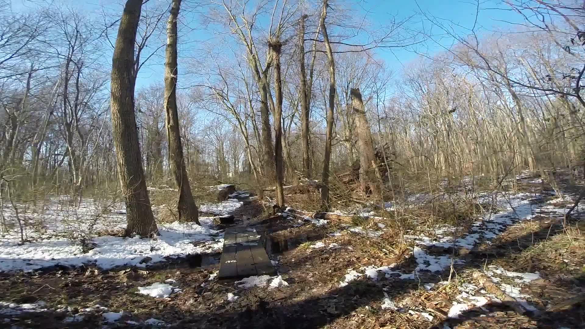 A snow-covered forest path surrounded by bare trees under a clear blue sky, featuring a wooden boardwalk crossing a muddy area. Richmond Avenue and Forest Hill road mountain bike trail.