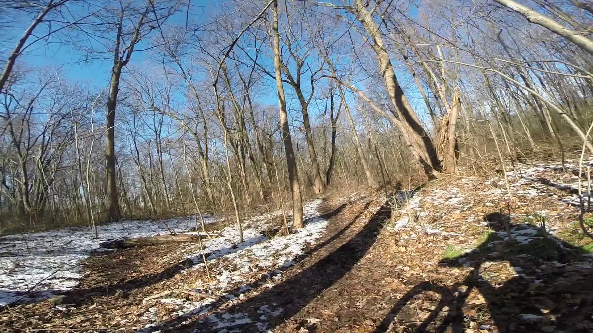 A scenic view of a forest trail in winter, featuring bare trees and patches of snow on the ground. The image captures a winding path through the woods, surrounded by fallen leaves and twigs, with a clear blue sky overhead. A shadow of a cyclist can be seen on the right side of the frame, indicating movement along the trail. Richmond Avenue and Forest Hill road mountain bike trail.