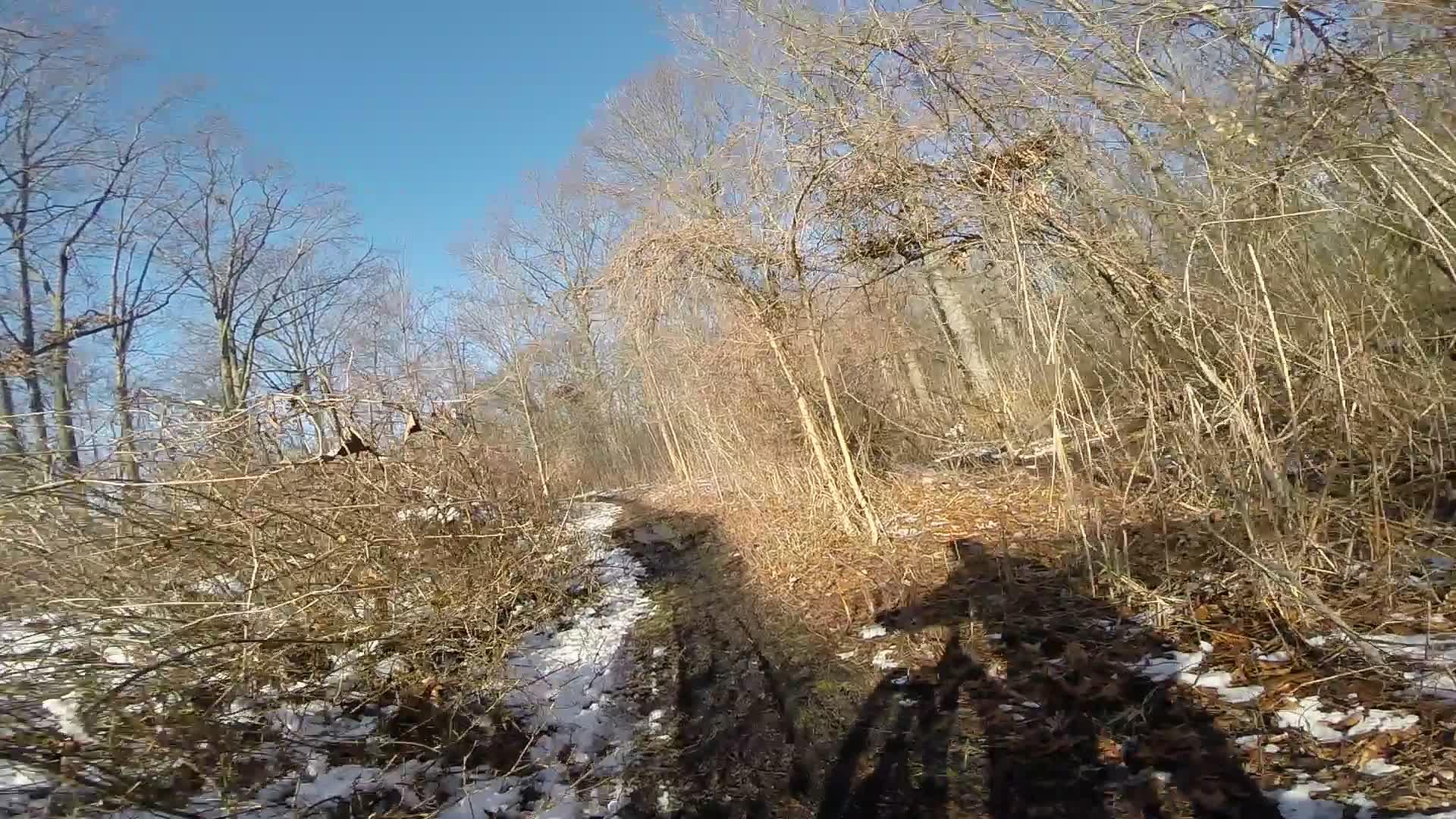 A winding trail through a wooded area with bare trees and patches of snow, under a clear blue sky. Shadows cast by the photographer are visible on the ground. The trail is flanked by overgrown brush and fallen branches, suggesting a quiet, natural setting. Richmond Avenue and Forest Hill road mountain bike trail.
