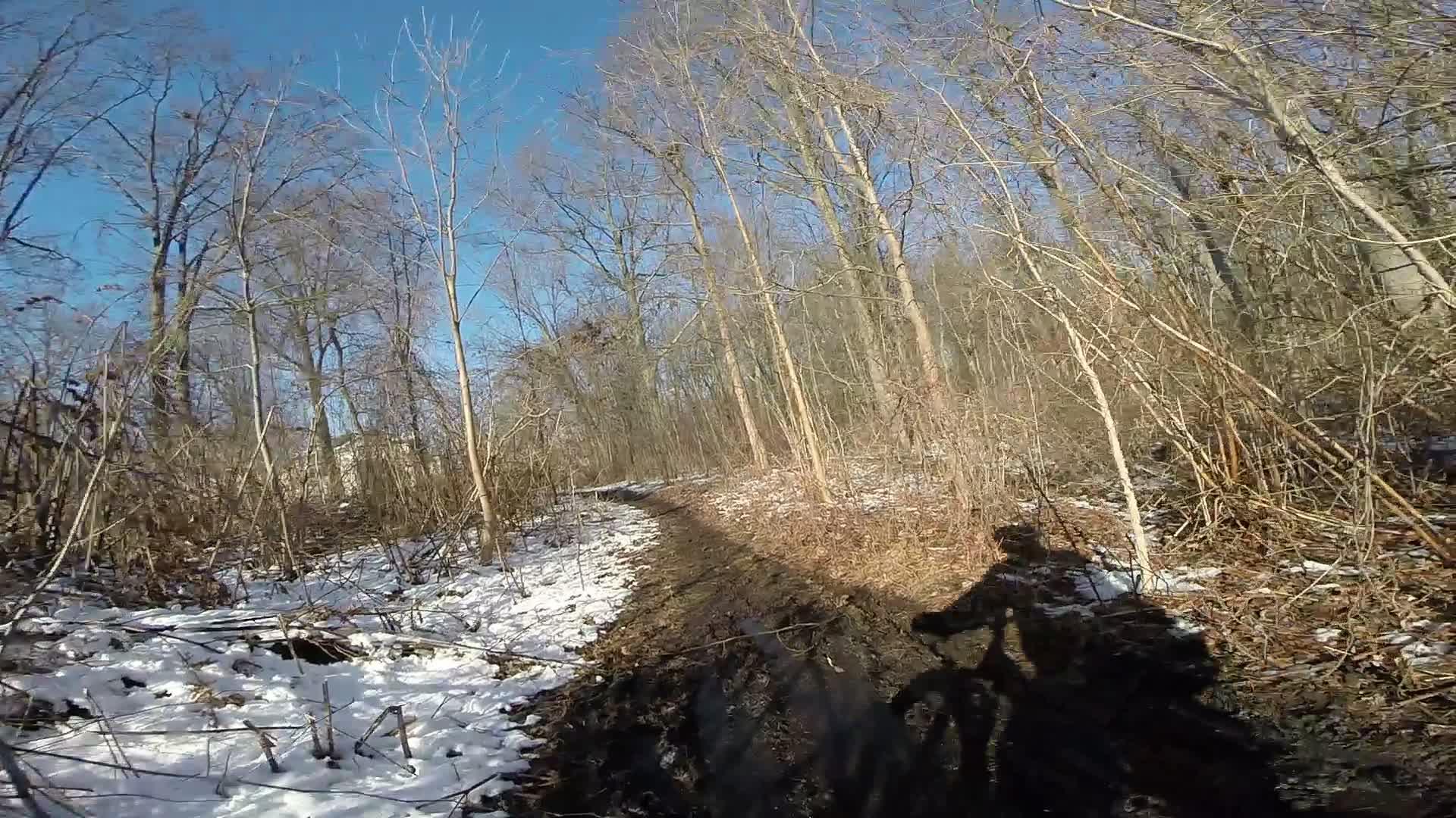 A winding dirt trail through a wooded area, with patches of snow and mud visible on the ground. Leafless trees line the path under a clear blue sky, and the silhouette of a bicycle is cast on the trail. Richmond Avenue and Forest Hill road mountain bike trail.