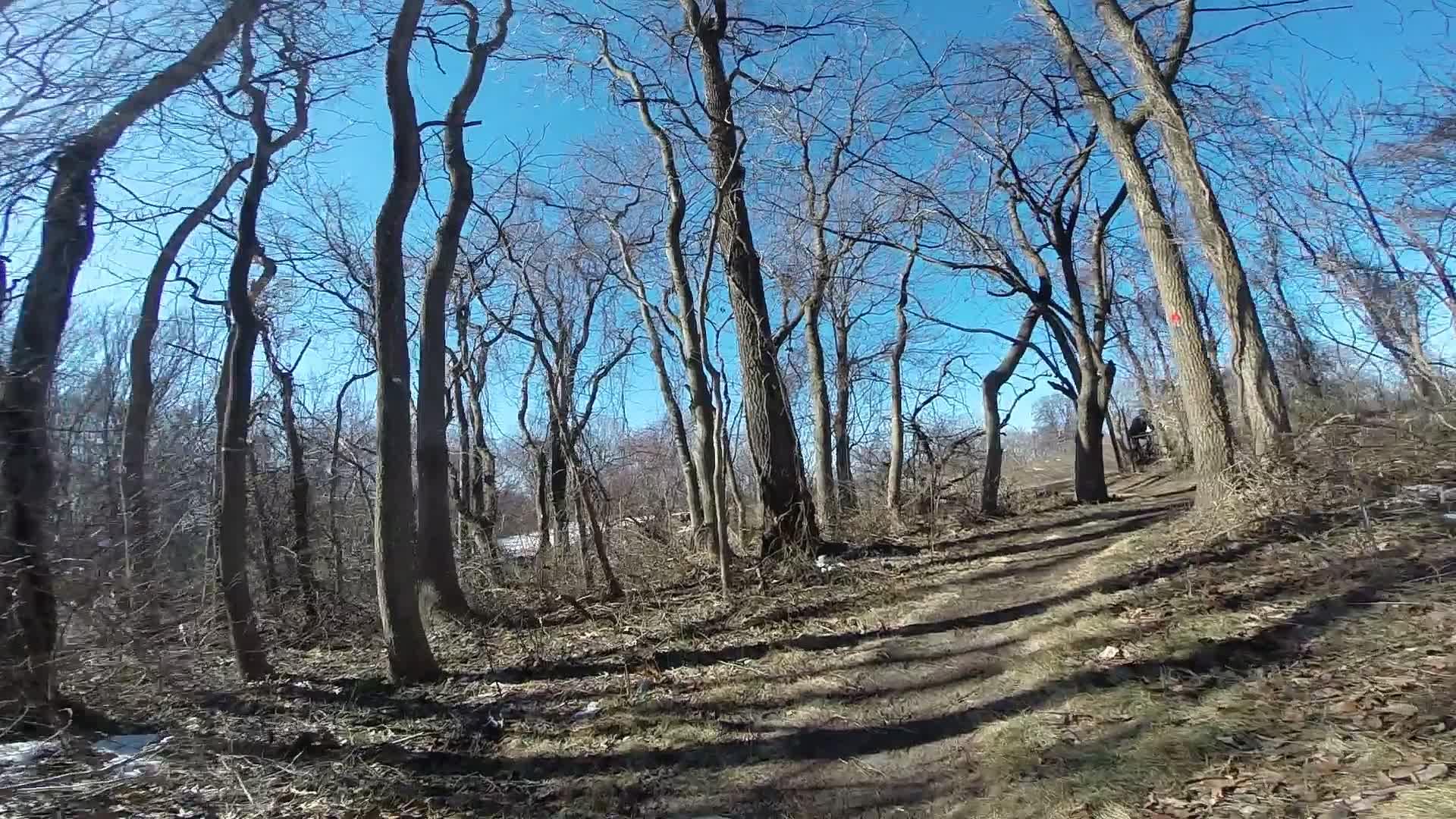 A winding dirt path through a wooded area with bare trees and blue sky above. Shadows from the trees stretch across the ground, creating a serene and inviting natural scene. Richmond Avenue and Forest Hill road mountain bike trail.
