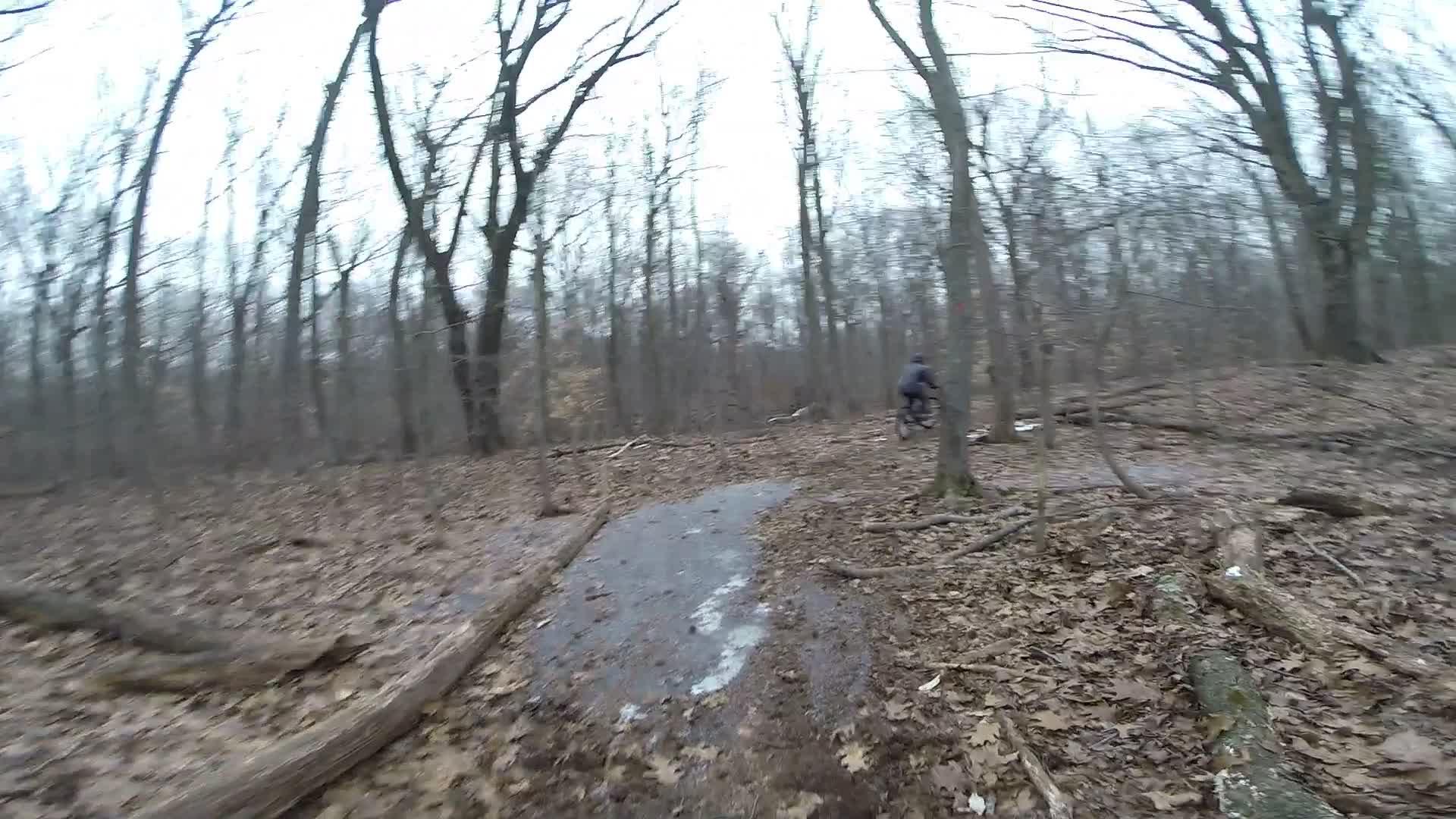 A view of a forested trail during winter, with bare trees and fallen leaves covering the ground. A cyclist can be seen riding along a muddy path, surrounded by earthy tones and a mix of dry foliage and damp areas. The atmosphere is overcast, suggesting a chilly, gray day. Richmond Avenue and Forest Hill road mountain bike trail.