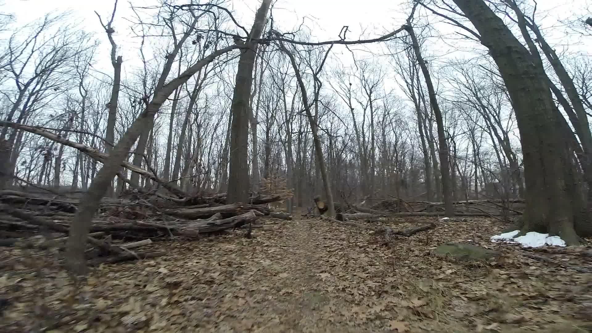 A winding dirt path through a wooded area, surrounded by tall, bare trees. Fallen branches and leaves cover the ground, with patches of white snow visible in some areas. The sky is overcast, creating a muted, gray atmosphere. Richmond Avenue and Forest Hill road mountain bike trail.