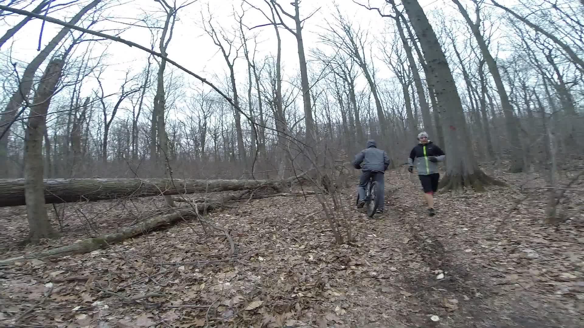 A man biking along a forest trail, with a woman jogging nearby. The scene is set in a wooded area with bare trees and fallen branches, and the ground is covered in brown leaves. The atmosphere suggests a cool, overcast day. Richmond Avenue and Forest Hill road mountain bike trail.