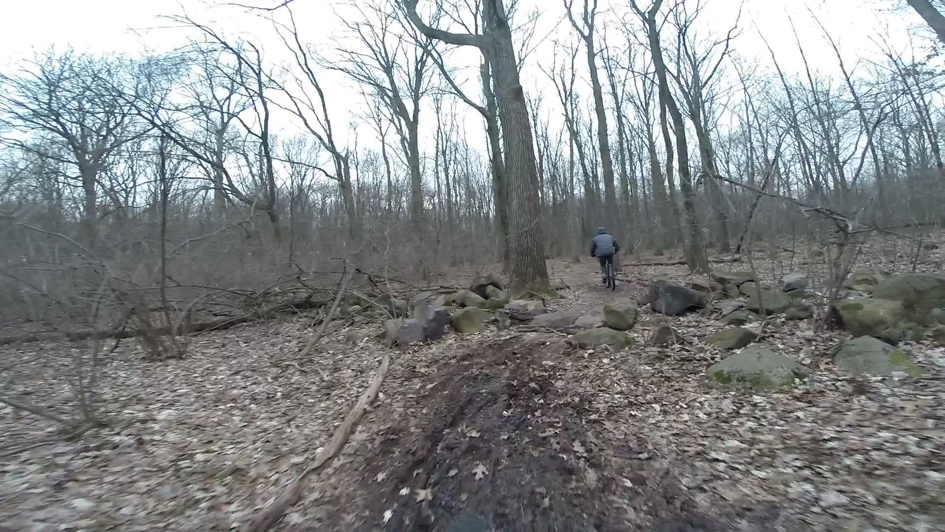 A mountain biker riding along a narrow trail in a wooded area, surrounded by bare trees and scattered rocks. The ground is covered with fallen leaves, creating a natural, earthy landscape. Richmond Avenue and Forest Hill road mountain bike trail.