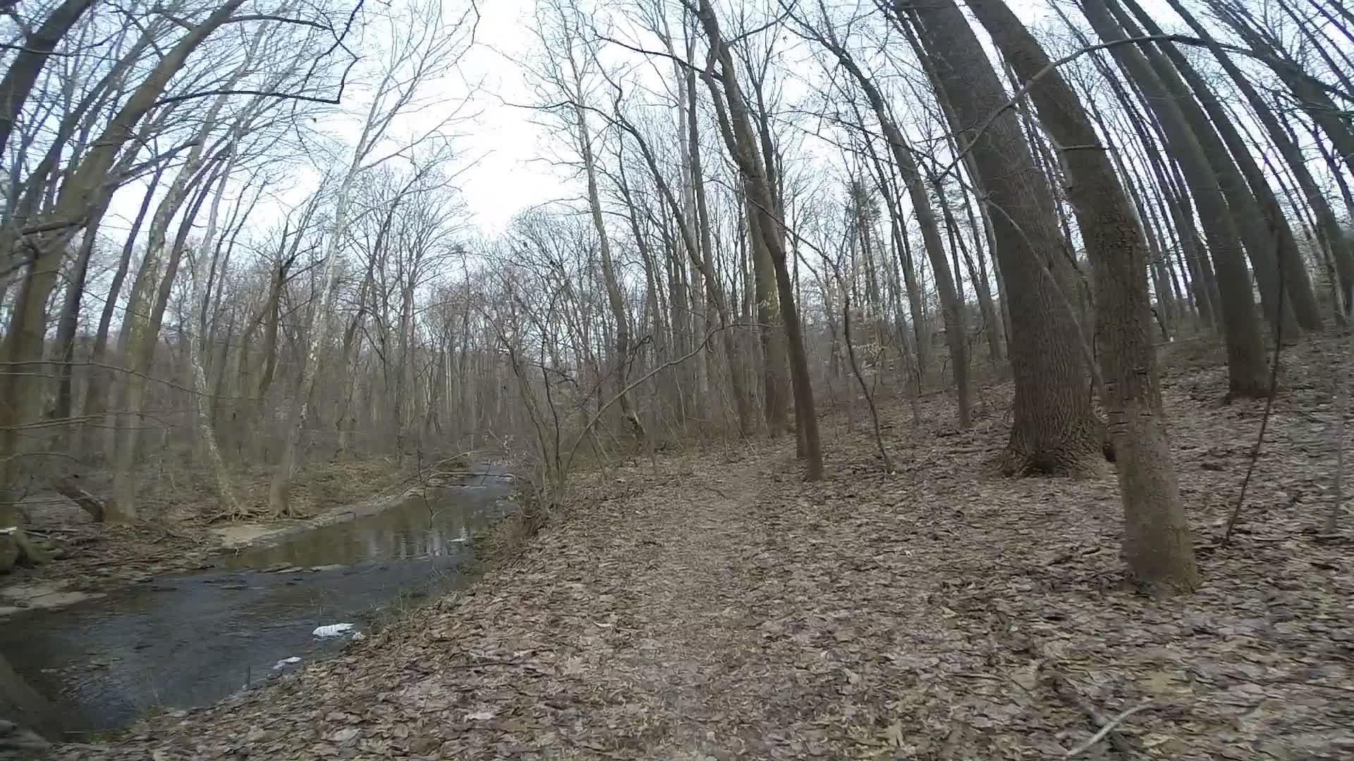 A winding dirt path lined with fallen leaves, leading beside a calm stream in a forest. The trees are bare, indicating it is late autumn or early winter, with a cloudy sky overhead. White Clay Creek mountain bike trail.