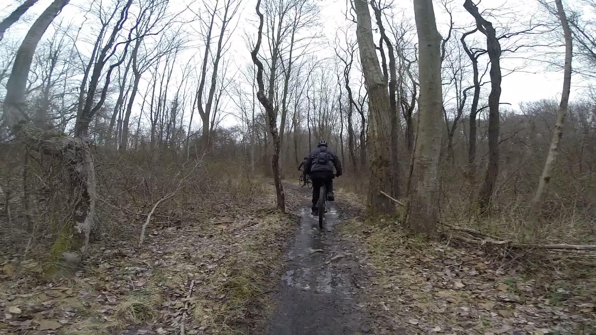 A cyclist riding on a muddy trail through a wooded area with bare trees and fallen leaves during overcast weather. White Clay Creek mountain bike trail.