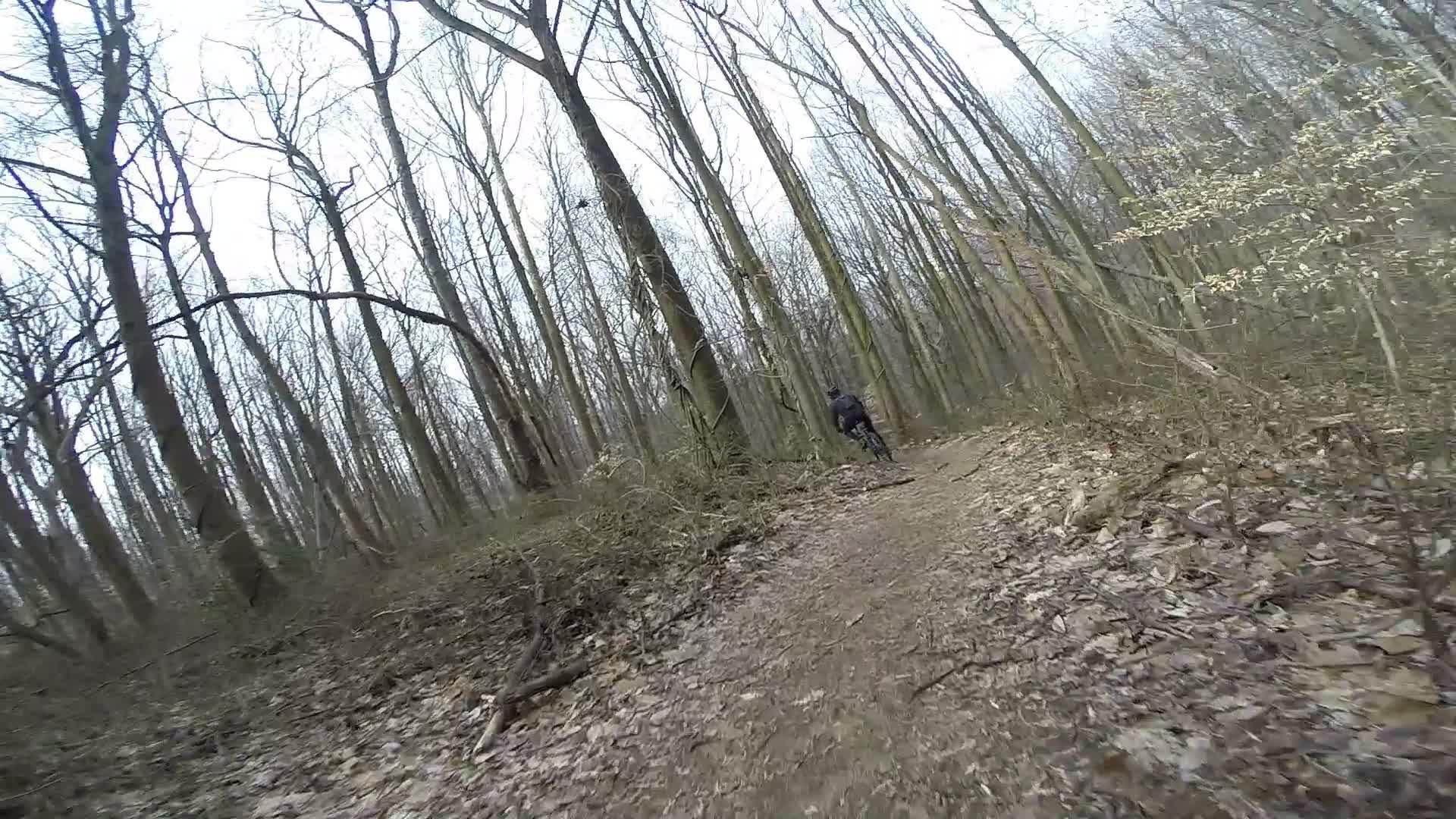 A mountain biker riding on a dirt path through a wooded area with bare trees and fallen leaves on the ground. The scene is set in a cool, overcast environment, indicating early spring or late autumn. White Clay Creek mountain bike trail.