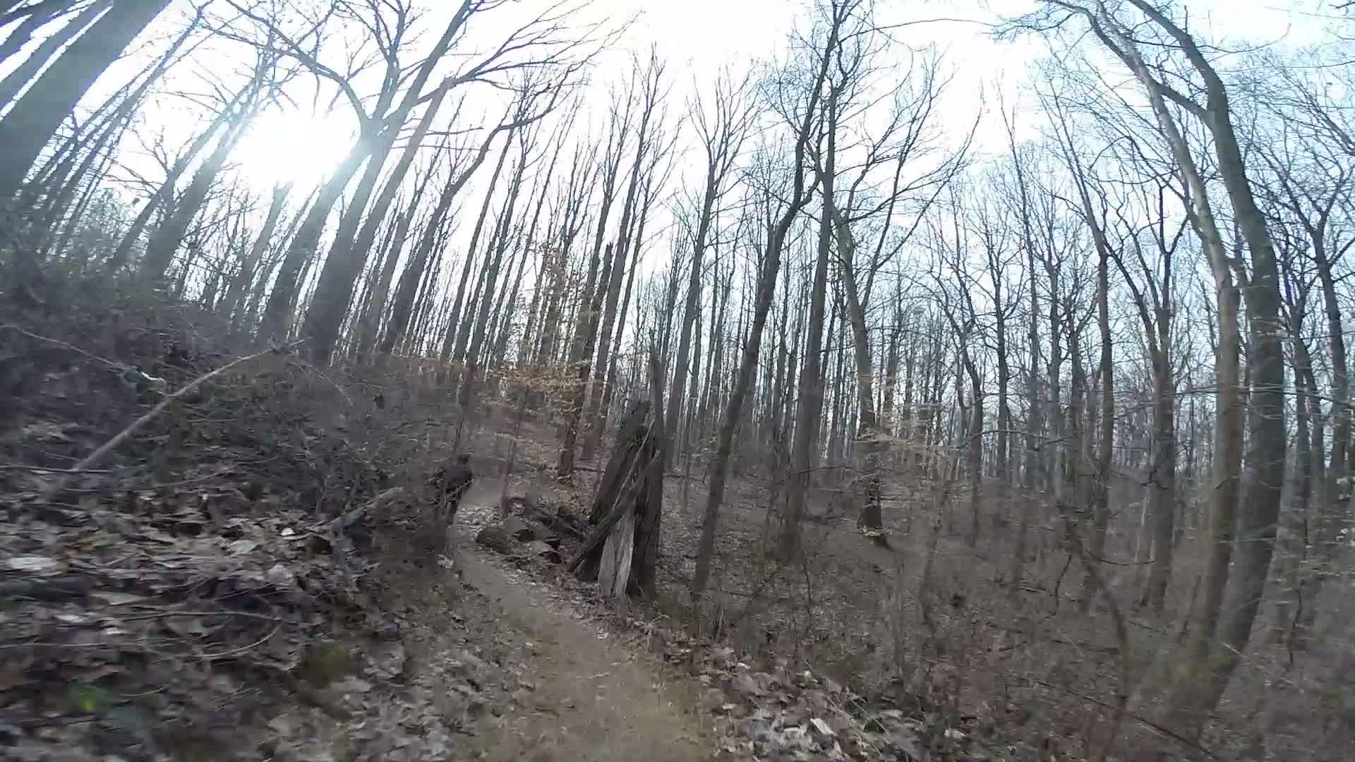A wooded pathway in a forest, lined with bare trees, with sunlight filtering through the branches, casting a soft light on the ground covered in fallen leaves and twigs. The trail is narrow and winds through the natural landscape. White Clay Creek mountain bike trail.