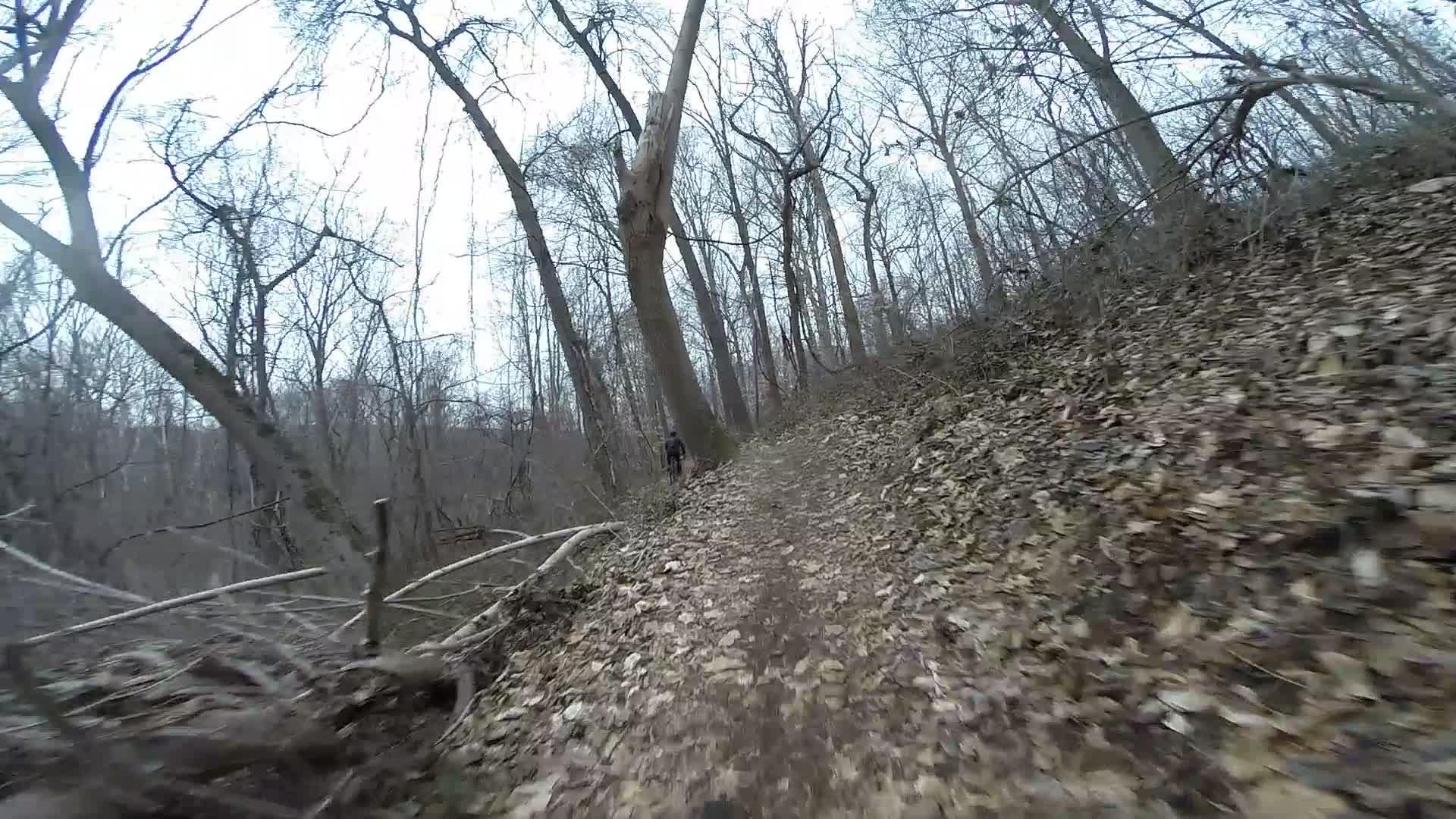A narrow, winding trail through a wooded area, covered in fallen leaves. Leafless trees rise on either side, creating a natural canopy. In the distance, a person can be seen walking along the path. The scene evokes a tranquil, outdoor atmosphere in a forest setting. White Clay Creek mountain bike trail.