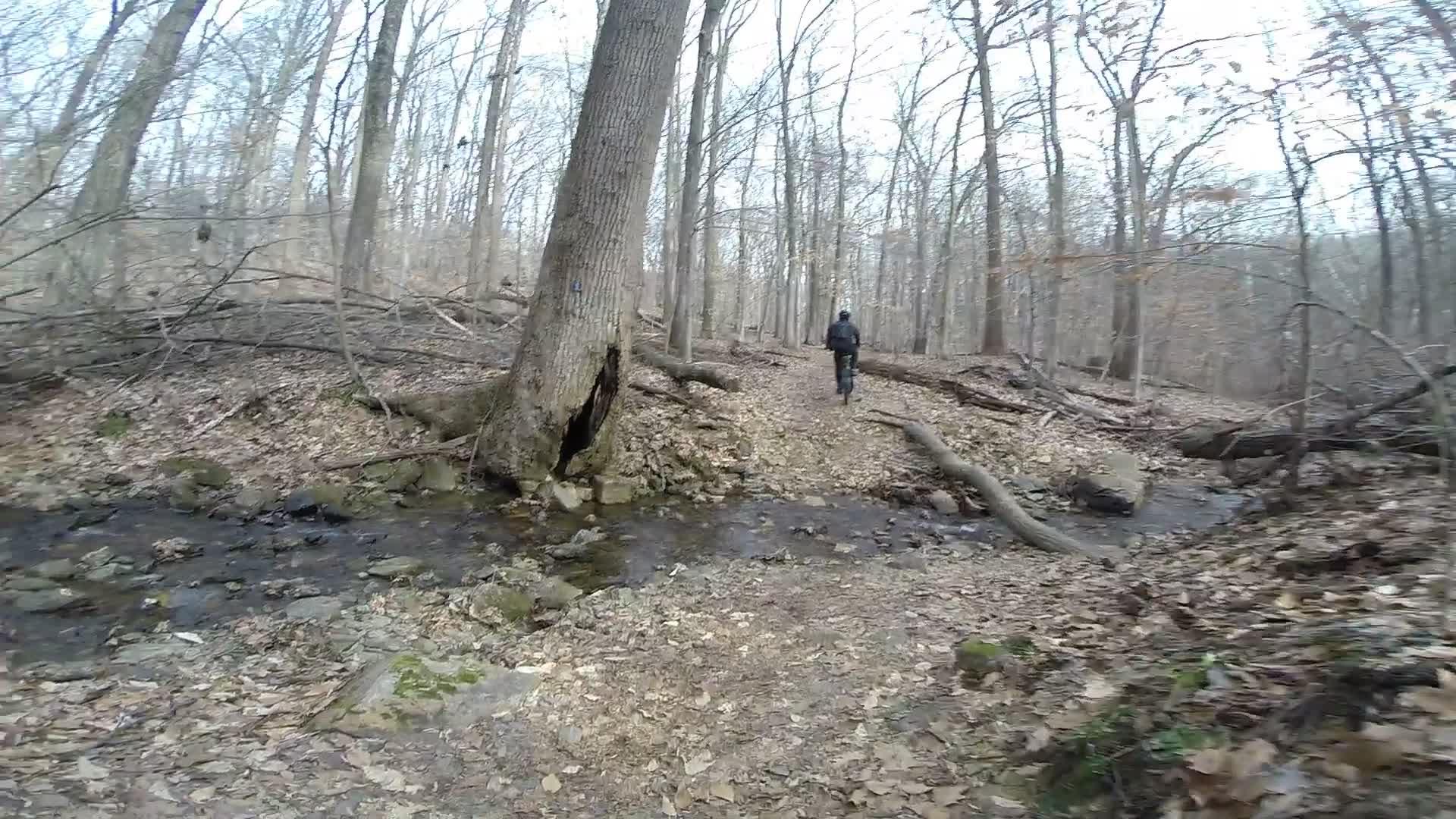 A person walking along a wooded trail beside a small stream, surrounded by bare trees and fallen leaves, in an early spring or late autumn setting. White Clay Creek mountain bike trail.