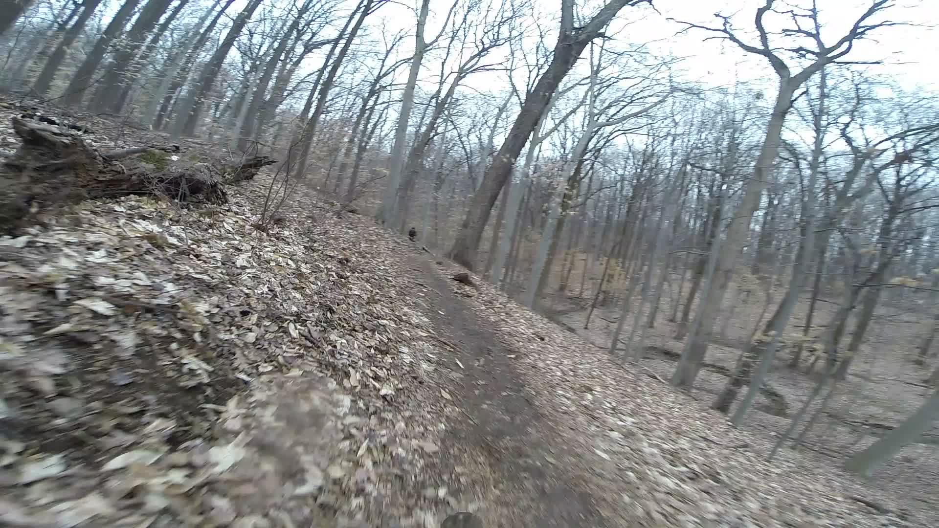 A winding dirt trail through a forest in autumn, surrounded by bare trees and a layer of fallen leaves covering the ground. The scene captures a natural, serene atmosphere. White Clay Creek mountain bike trail.