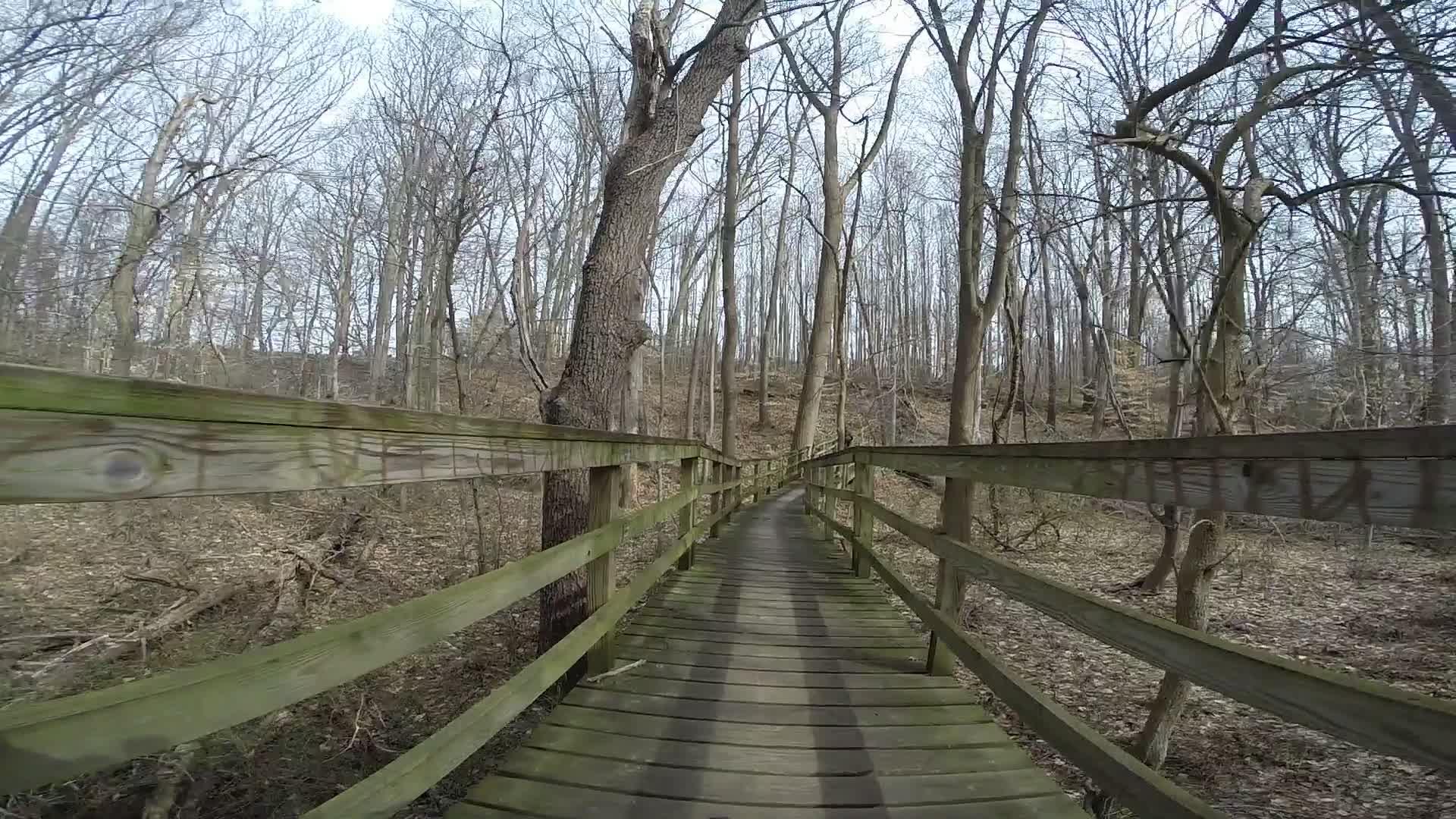A wooden boardwalk winding through a forest, surrounded by bare trees and underbrush, with a clear sky visible above. Shadows from the trees stretch across the path. White Clay Creek mountain bike trail.