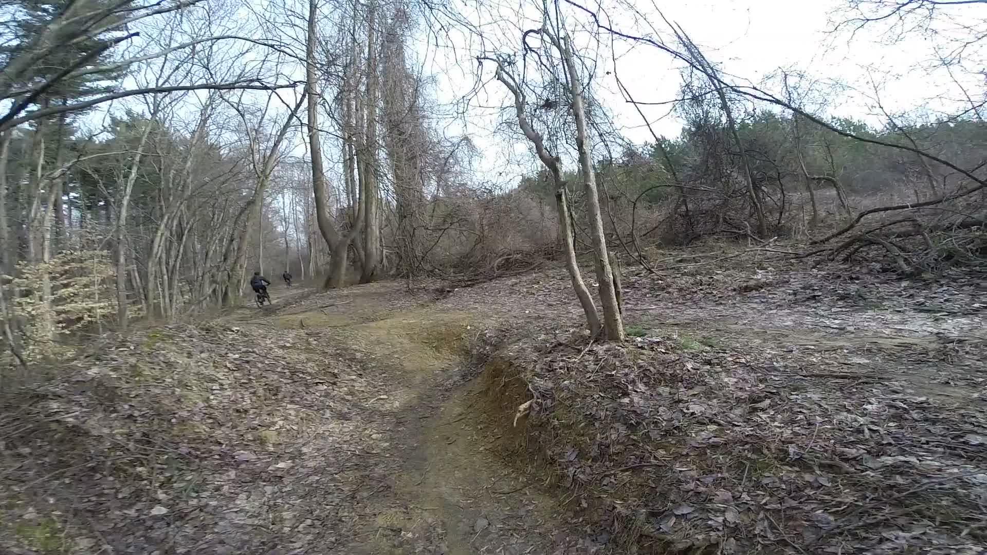 A scenic view of a biking trail in a wooded area, featuring bare trees and a dirt path surrounded by fallen leaves. Two cyclists are seen in the distance navigating the trail on a cool day. White Clay Creek mountain bike trail.