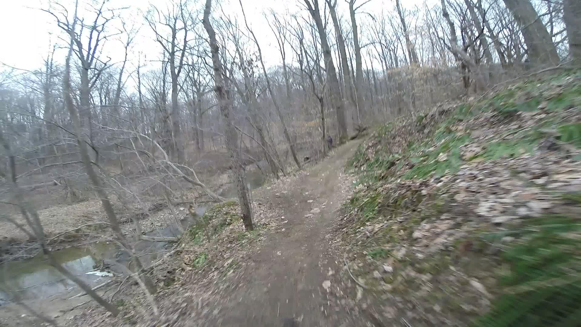 A winding dirt path through a wooded area in early spring, with bare trees and patches of grass along the trail. A small creek is visible to the left, and a distant figure can be seen walking along the path. The scene conveys a peaceful, natural setting. White Clay Creek mountain bike trail.