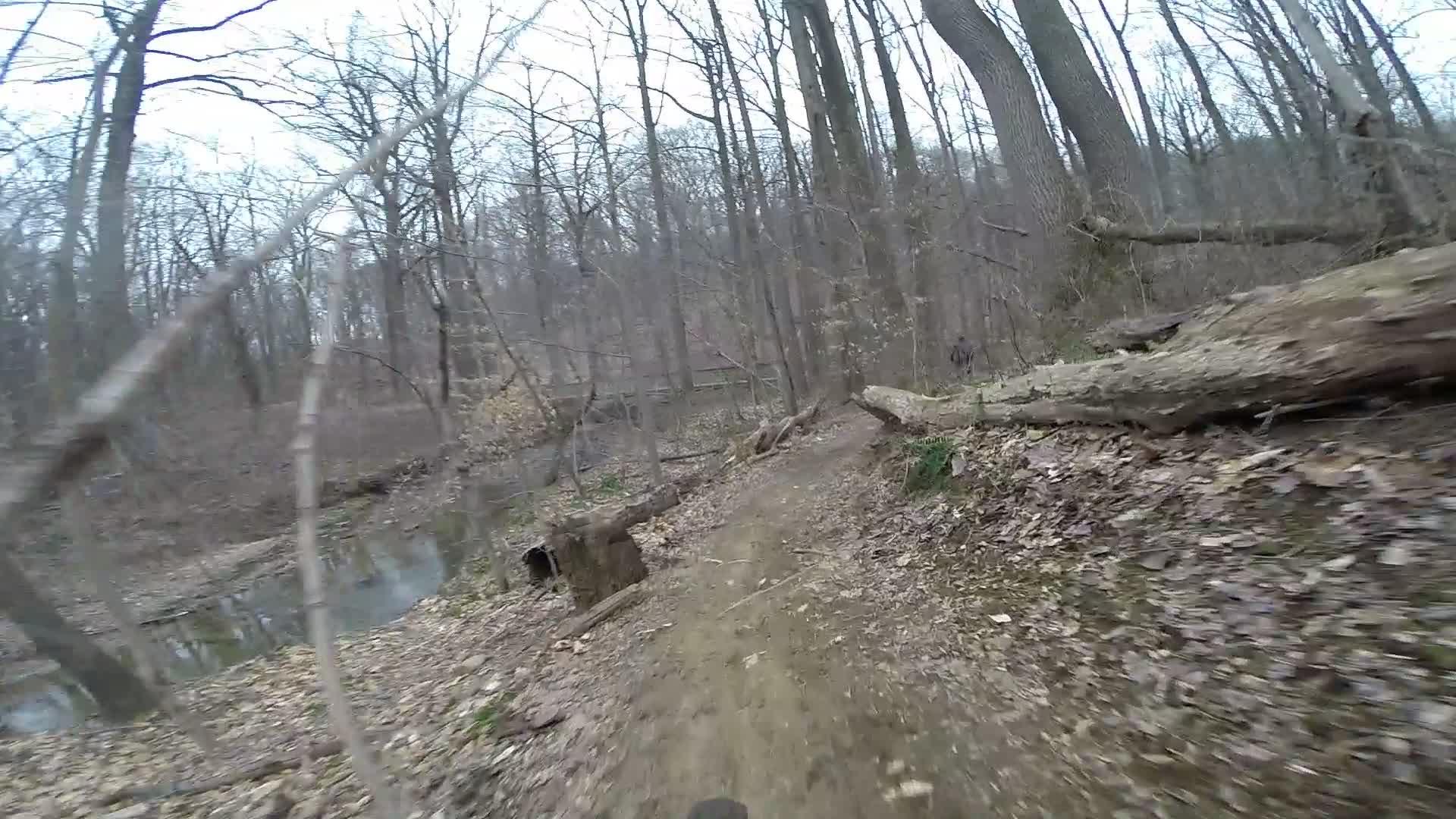 A narrow dirt trail winding through a wooded area, with bare trees lining the path and patches of brown leaves and soil visible. A small stream runs alongside the trail, contributing to the serene natural setting. The image appears to be taken from a low perspective, possibly from a bicycle, suggesting an active outdoor adventure. White Clay Creek mountain bike trail.