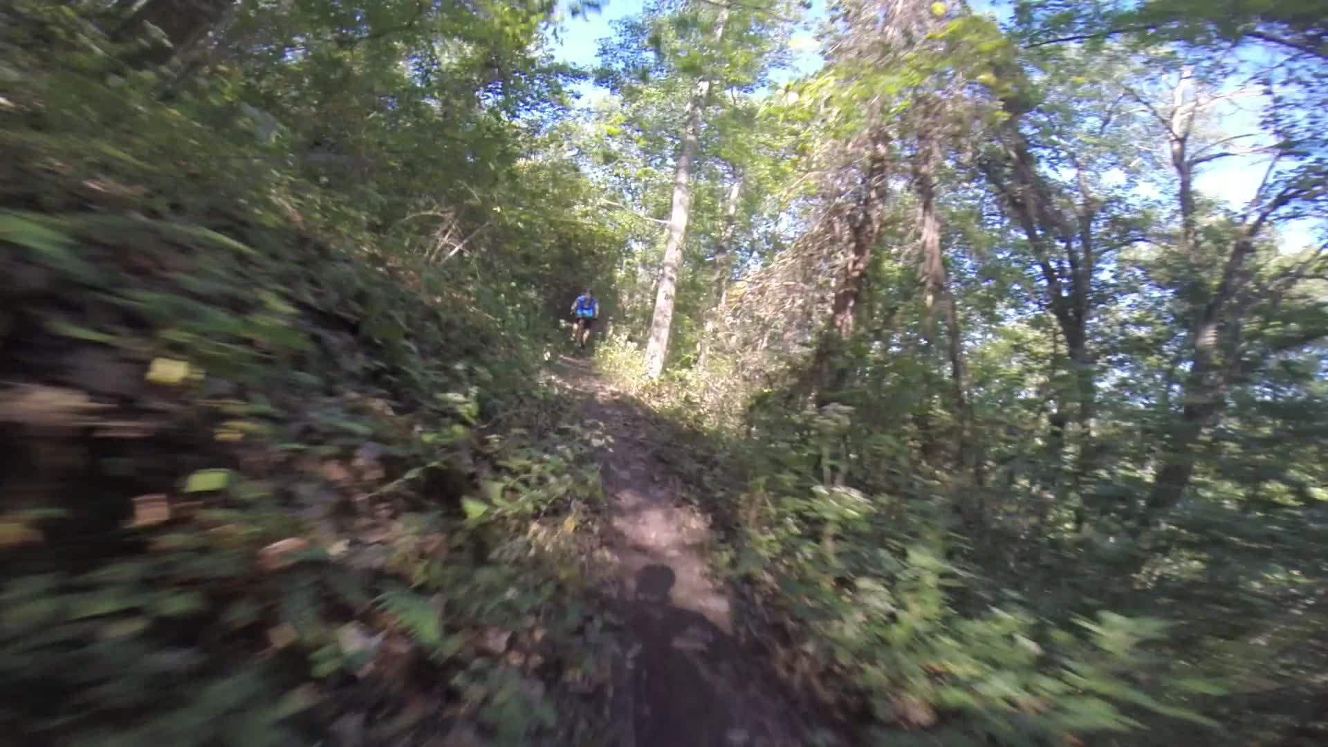 A mountain biker rides along a narrow dirt trail surrounded by lush green foliage and tall trees under a clear blue sky. Allegrippis Trails mountain bike trail.