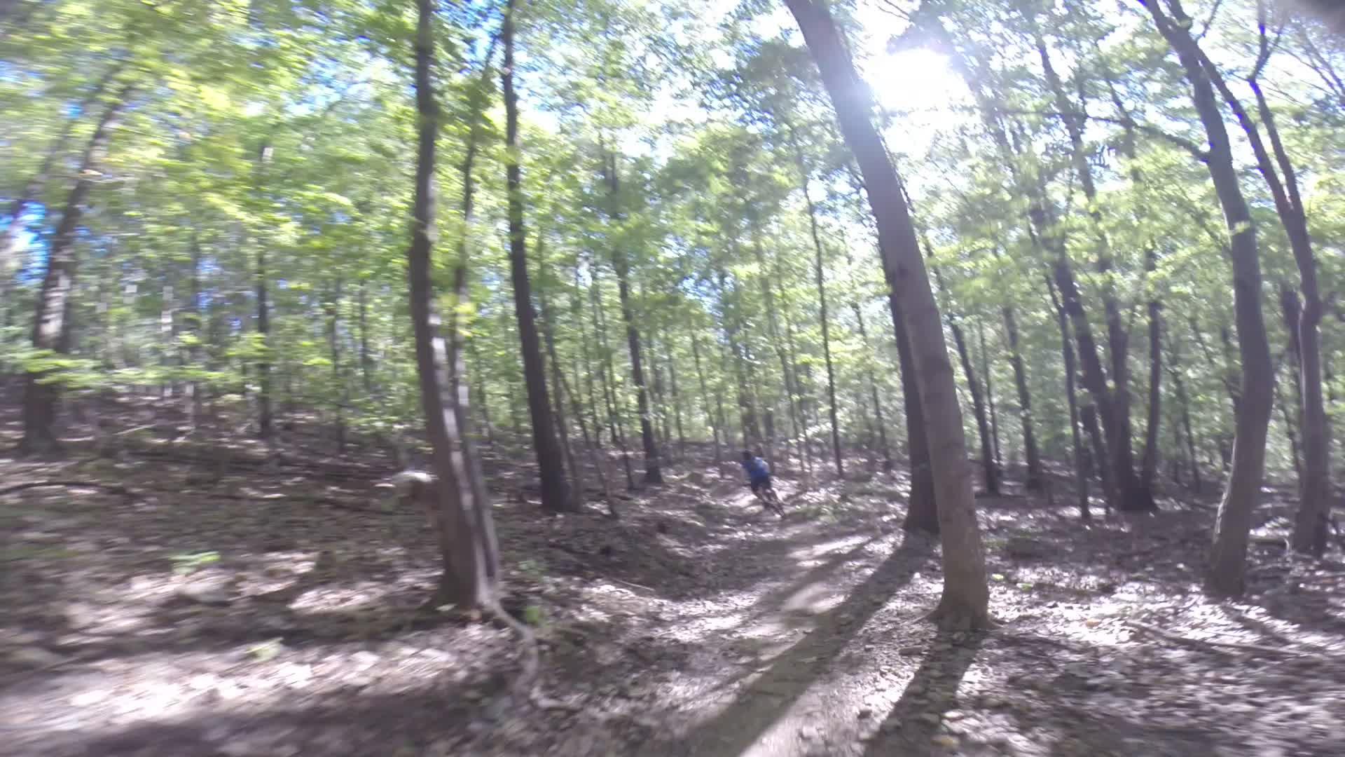 A mountain biker navigating a dirt trail through a sunlit forest, surrounded by green trees and dappled sunlight. Allegrippis Trails mountain bike trail.