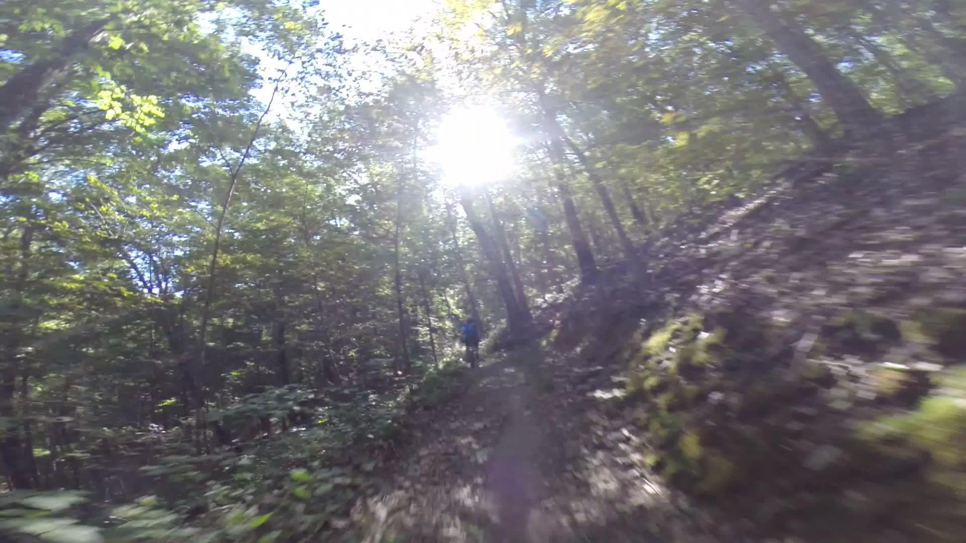 A sunlit forest path winding through lush greenery, with a person in blue walking along the trail. The sunlight filters through the leaves, creating dappled light on the ground. Allegrippis Trails mountain bike trail.
