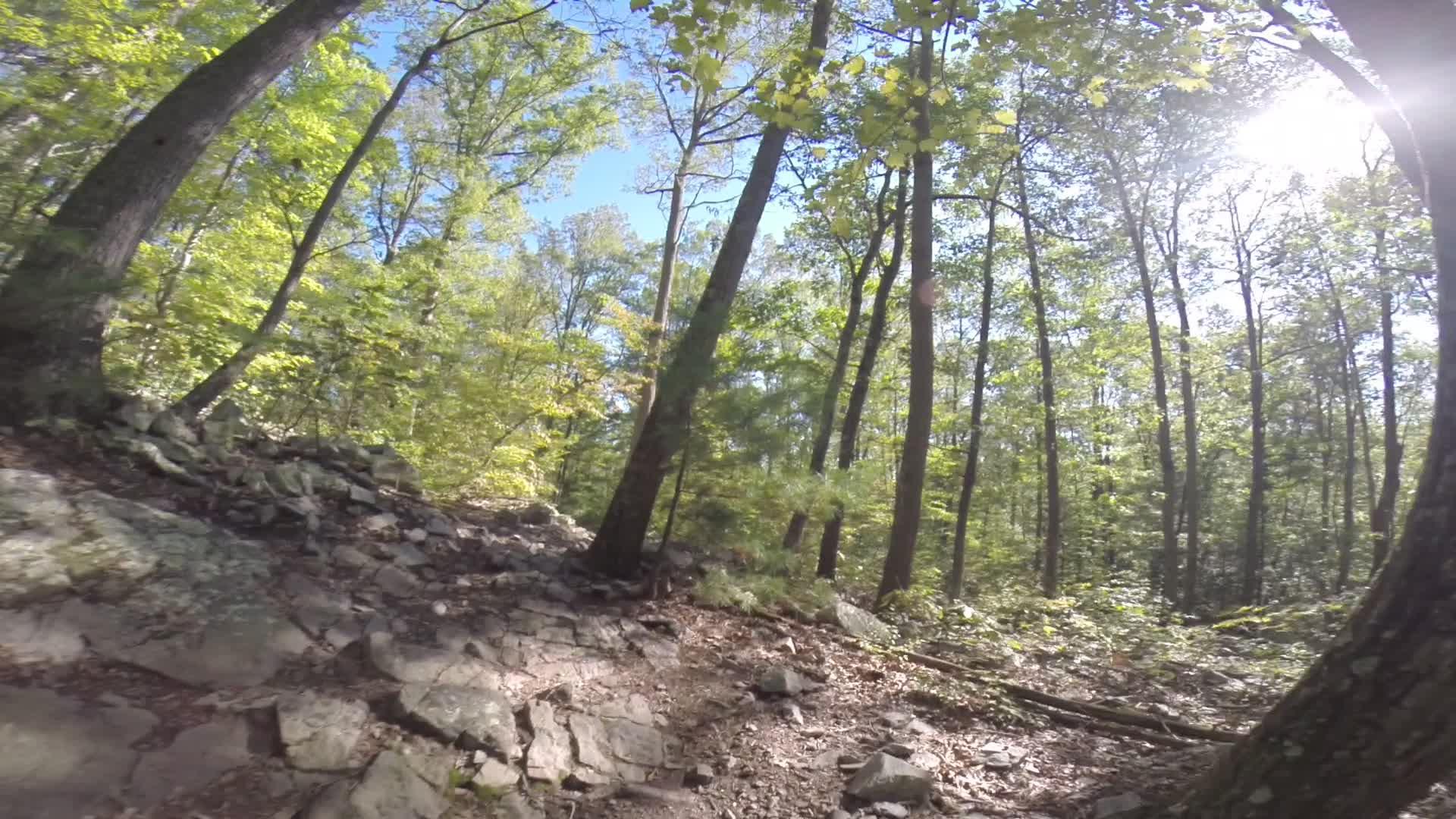 A rocky hiking trail surrounded by lush green trees under a clear blue sky, with sunlight filtering through the foliage. Allegrippis Trails mountain bike trail.