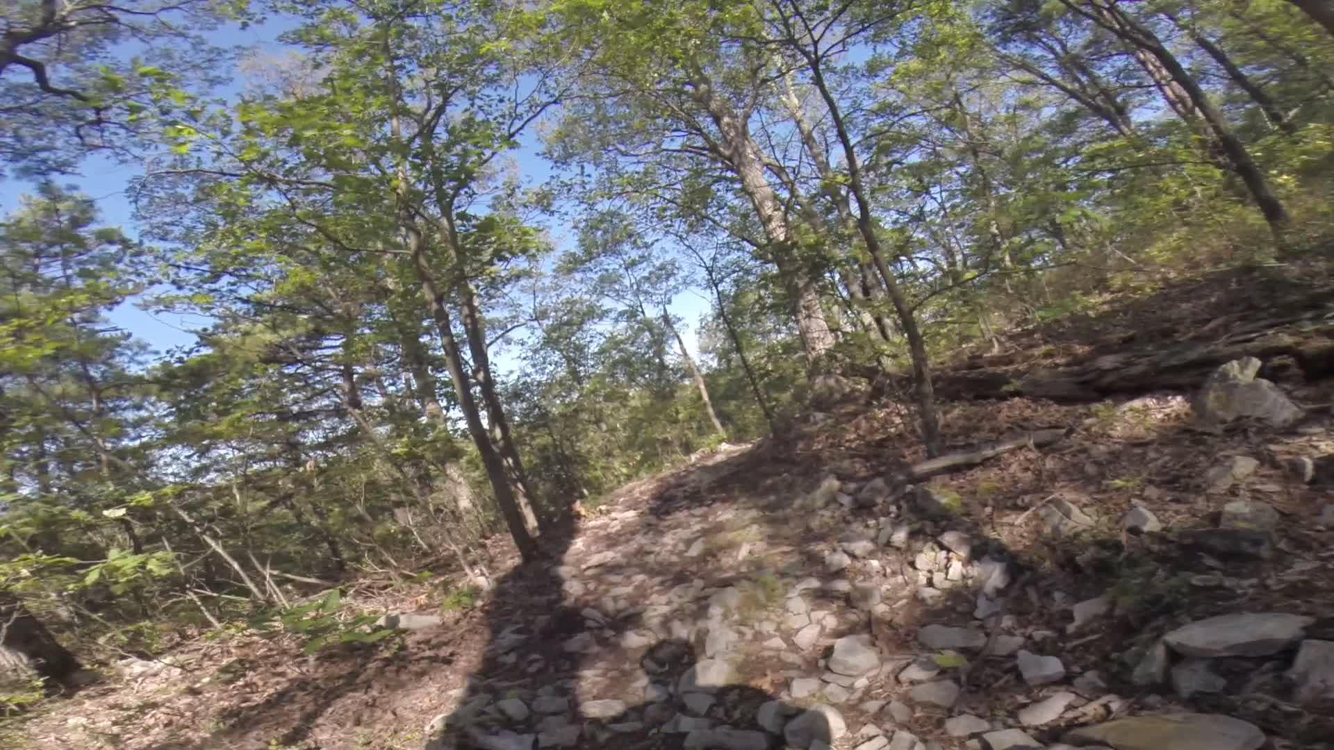 A rocky hiking trail winding through a lush forest, with trees and green foliage under a clear blue sky. Allegrippis Trails mountain bike trail.