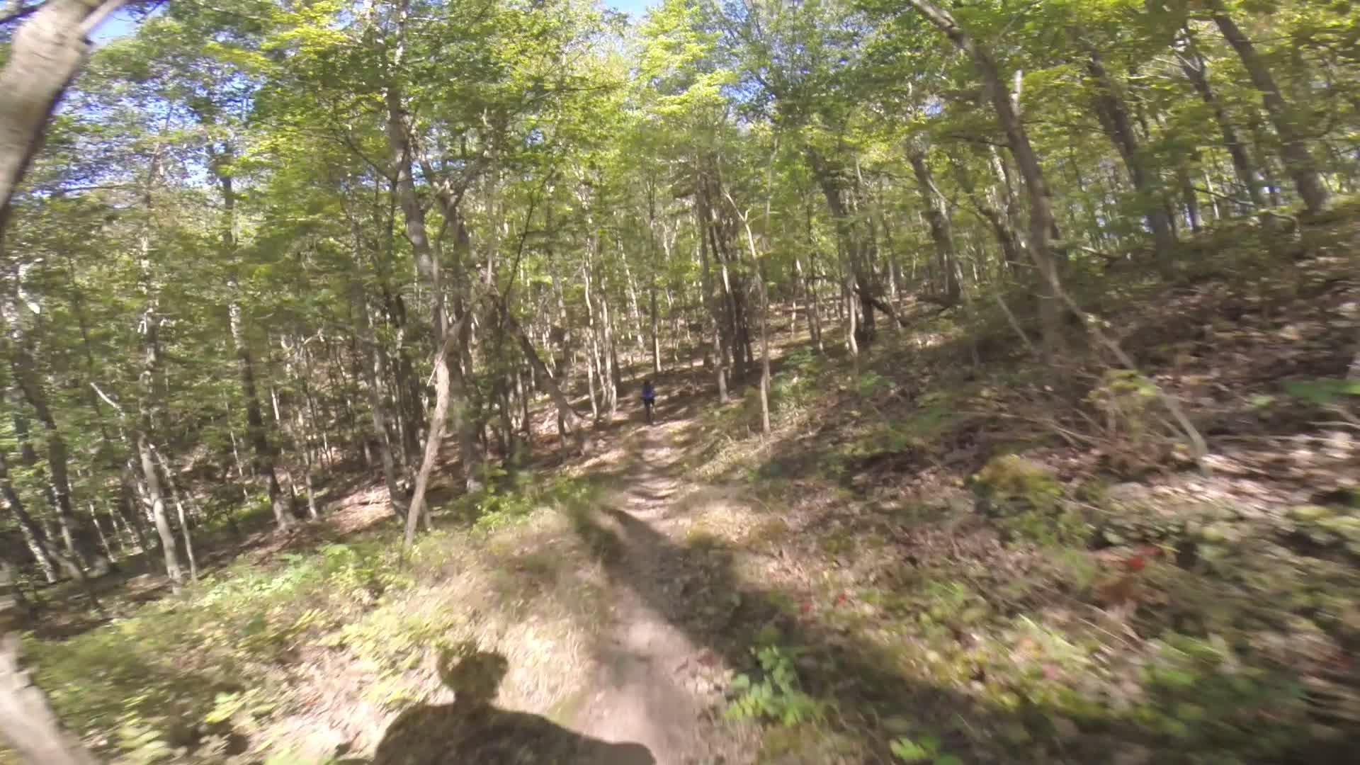 A winding dirt trail surrounded by lush green trees in a forest. A person wearing a blue shirt is walking along the path, enjoying the serene outdoor atmosphere. Sunlight filters through the leaves, creating dappled shadows on the ground. Allegrippis Trails mountain bike trail.