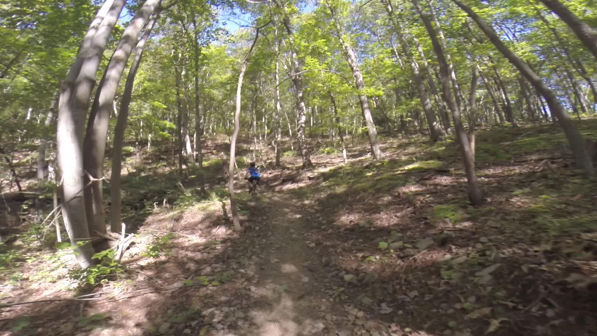 A narrow dirt path winding through a lush, green forest, with tall trees and sunlight filtering through the leaves. In the distance, a person in blue is seen riding a bike along the trail. The ground is covered with leaves and small stones, creating a natural and scenic outdoor environment. Allegrippis Trails mountain bike trail.