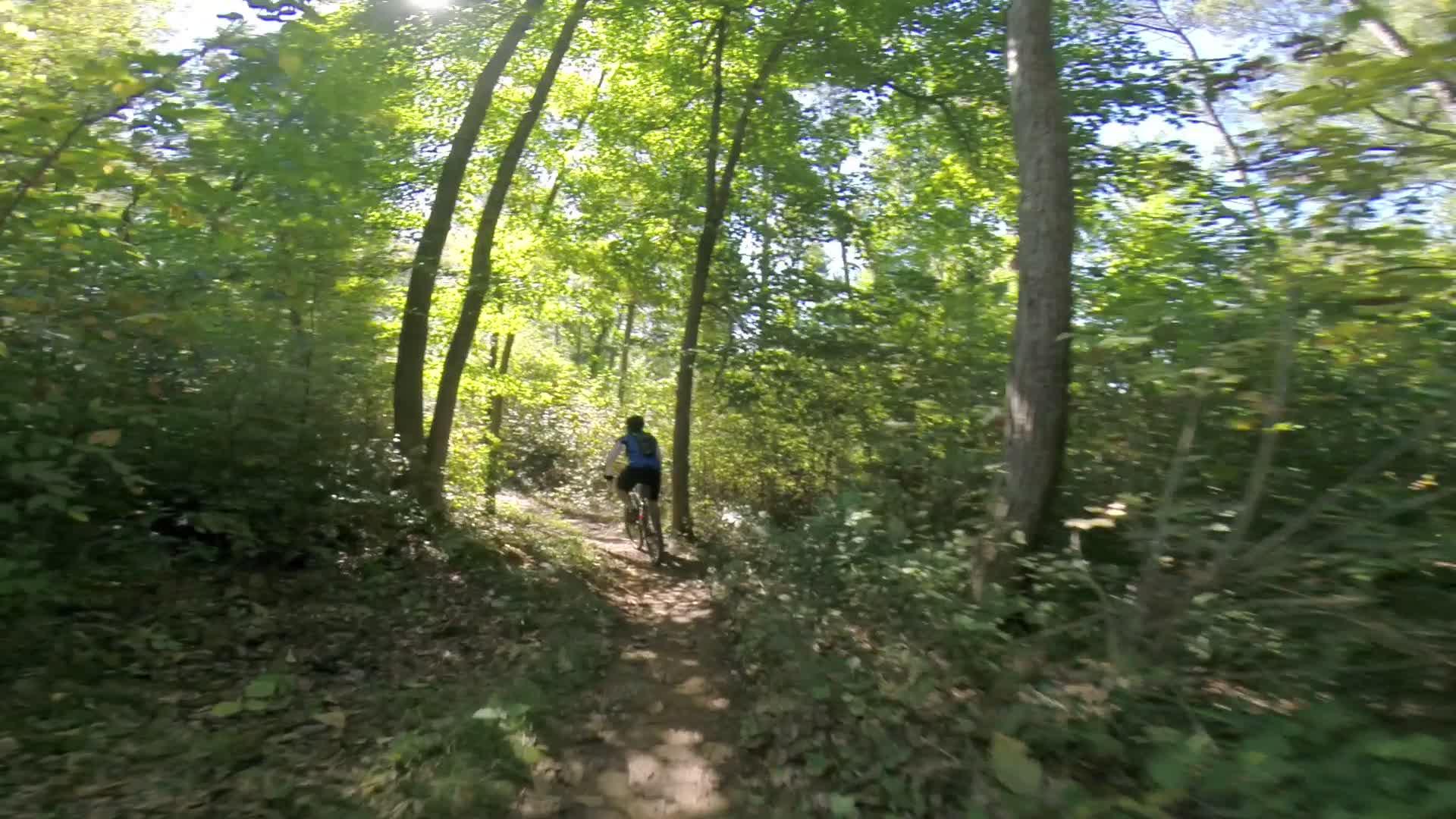 A person riding a mountain bike down a dirt trail surrounded by lush green trees and sunlight filtering through the canopy. Allegrippis Trails mountain bike trail.
