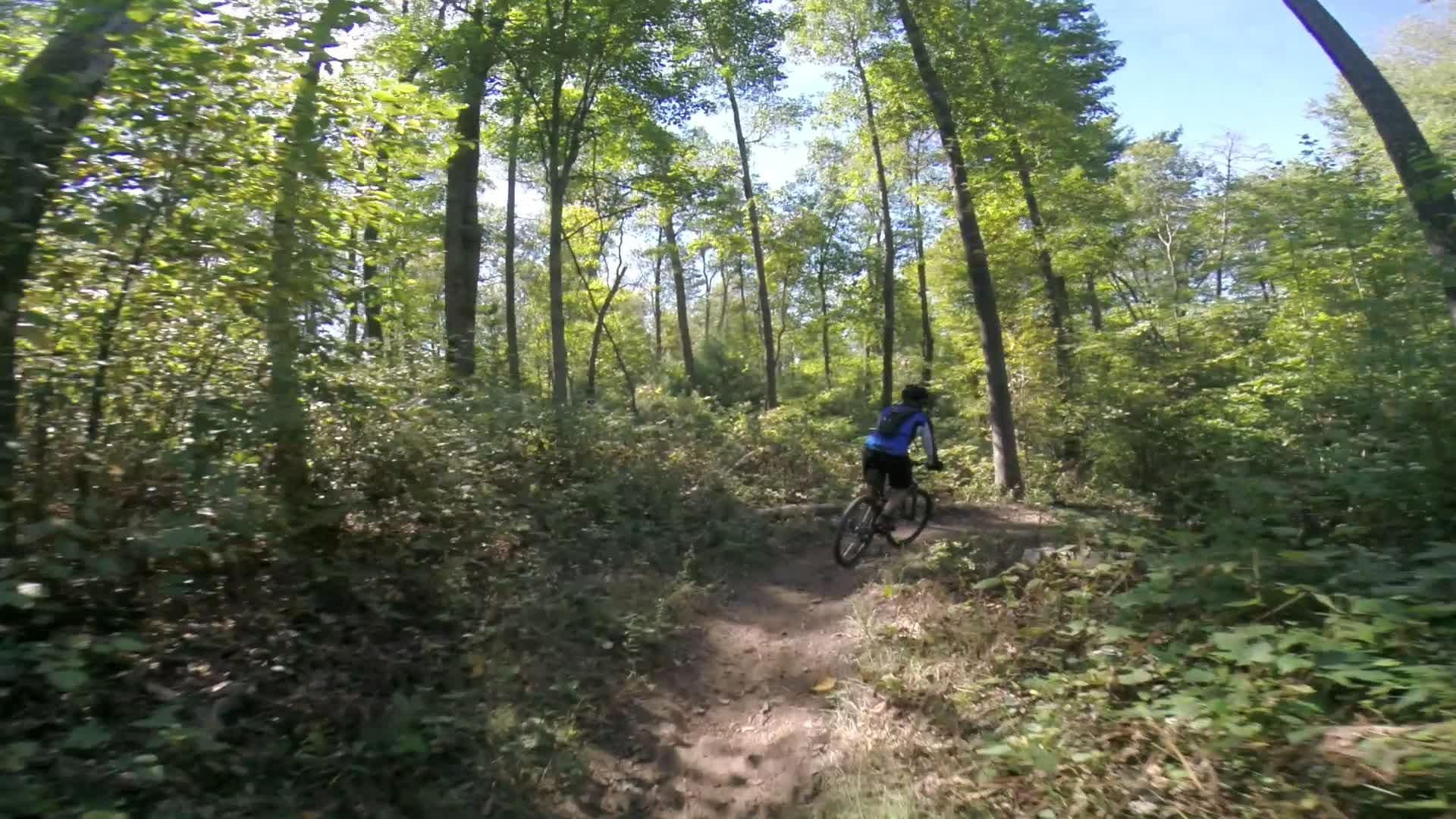 A cyclist riding a mountain bike along a narrow trail surrounded by tall trees and lush greenery in a forested area on a sunny day. Allegrippis Trails mountain bike trail.