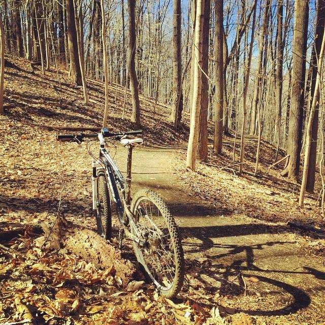 A mountain bike resting on a dirt trail in a wooded area. The ground is covered with brown leaves, and tall trees line the path under a clear blue sky. Patapsco Valley State Park (Avalon Area) mountain bike trail.