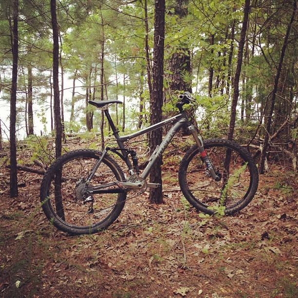 Trek Fuel EX 8: Mountain bike parked in a wooded area with trees and foliage in the background, showcasing a mix of dirt and leaves on the ground.