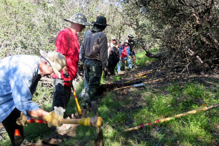 A group of volunteers is working on a trail in a green, wooded area. Some individuals are holding tools like axes and shovels while others gather nearby, wearing hats and outdoor clothing. The scene is sunny, surrounded by bushes and grass, indicating a day of outdoor labor and conservation efforts.