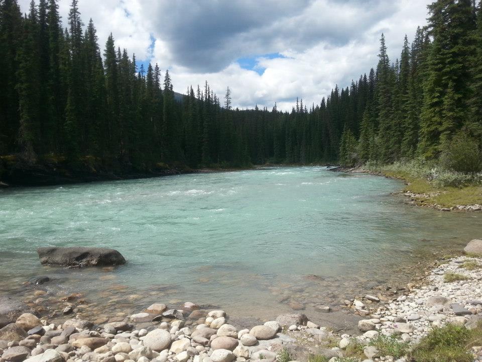 A calm river flows through a lush green forest, flanked by tall pine trees under a partly cloudy sky. Smooth stones line the riverbank, with some larger rocks partially submerged in the clear, turquoise water. Snake Indian Falls mountain bike trail.