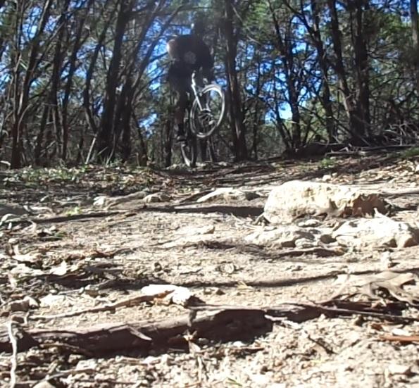 A mountain biker performing a jump on a dirt trail surrounded by trees, with the bike's front wheel elevated above the ground. The ground is rocky and covered with small branches, and the scene is illuminated by sunlight filtering through the foliage. Madrone Trail mountain bike trail.
