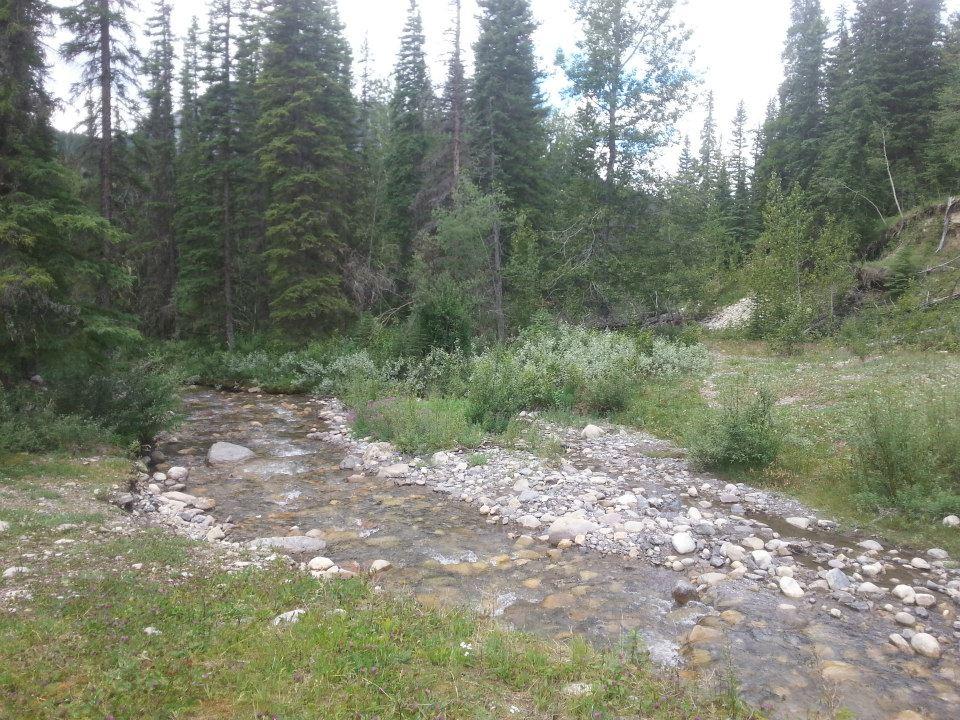 A serene landscape featuring a gently flowing stream surrounded by lush greenery and tall evergreen trees. Smooth rocks line the water's edge, and the scene is set under a partly cloudy sky, conveying a peaceful natural environment. Snake Indian Falls mountain bike trail.