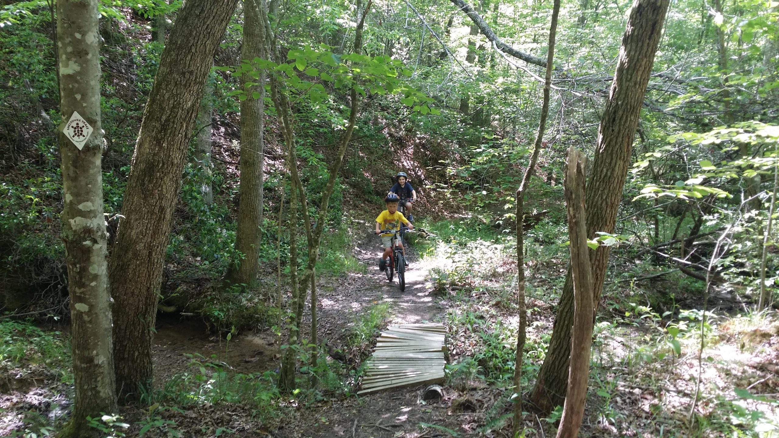 A child rides a bicycle on a dirt trail in a wooded area while an adult follows behind. Sunlight filters through the trees, illuminating the lush greenery along the path. A wooden bridge made of planks crosses a small stream, adding to the scenic nature of the biking route. Sheltowee Trace - Laurel Lake Trail mountain bike trail.