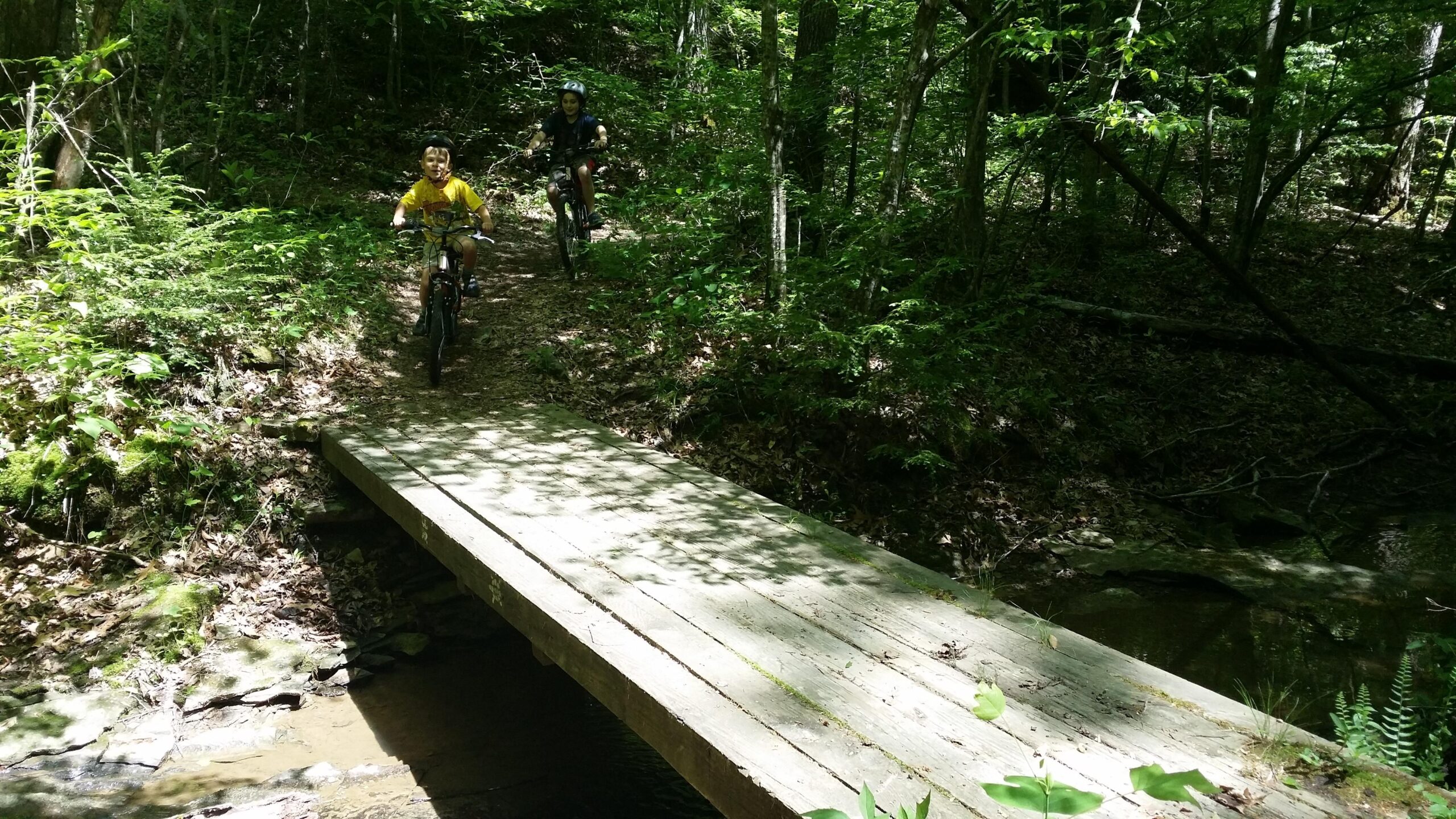 Two children riding bicycles on a dirt path in a lush green forest, crossing a wooden bridge over a small stream. Sunlight filters through the trees, creating dappled shadows on the ground. Sheltowee Trace - Laurel Lake Trail mountain bike trail.