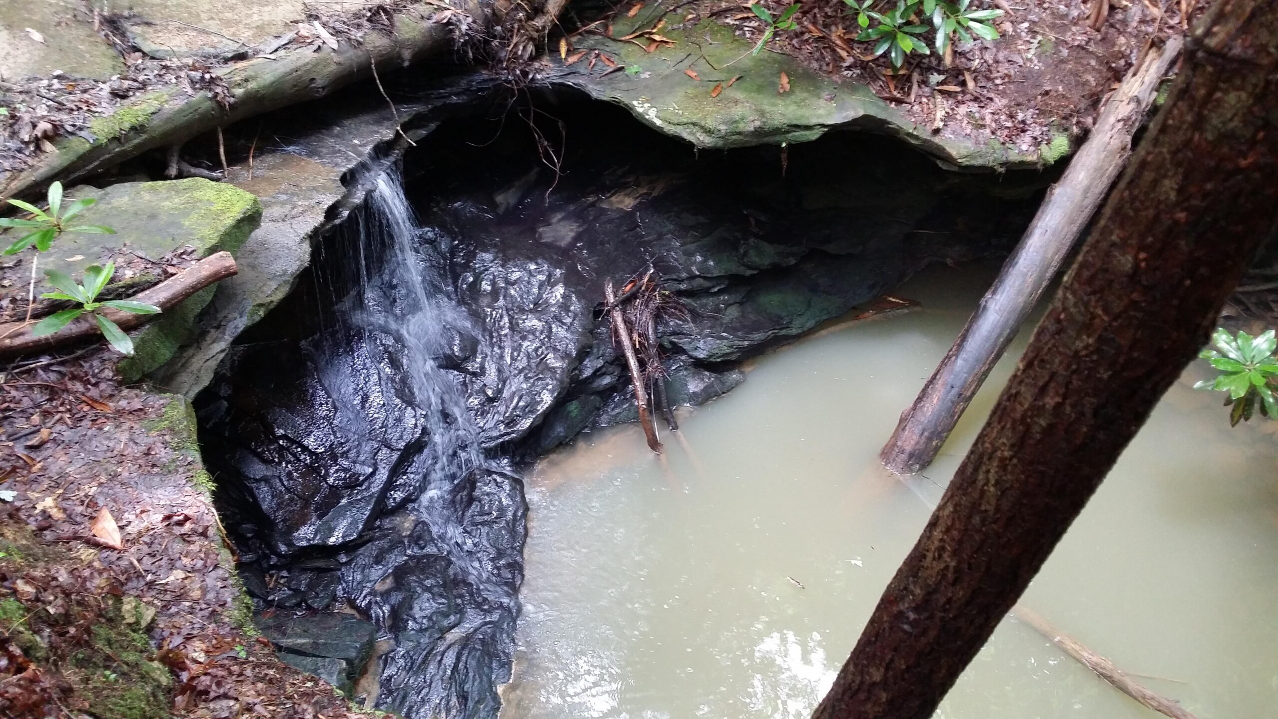 A small waterfall cascading over dark rocks into a shallow, murky pool, surrounded by lush green vegetation and fallen leaves. Cane Creek (sheltowee Trace Trail) mountain bike trail.