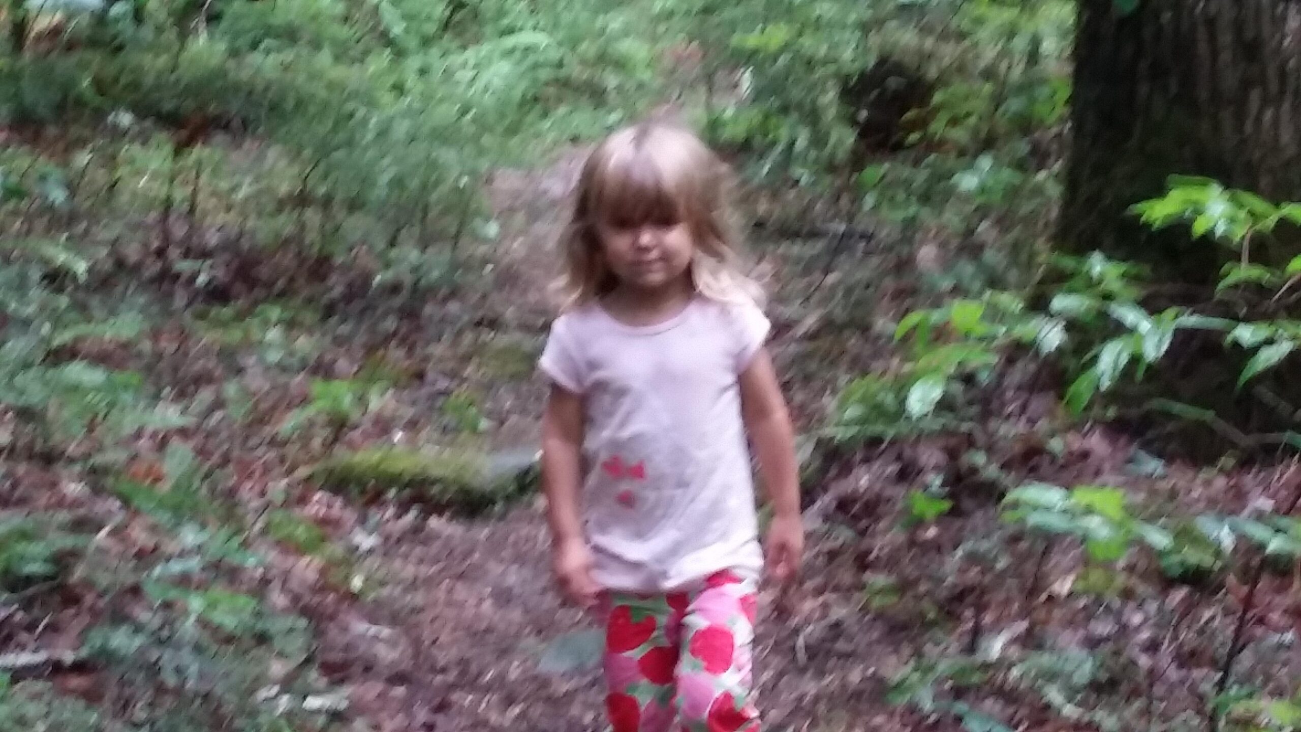 A young child with light brown hair is walking along a wooded trail, surrounded by greenery. The child wears a light-colored shirt and colorful pants with a strawberry pattern. The scene is peaceful and captures a moment in nature. Cane Creek (sheltowee Trace Trail) mountain bike trail.