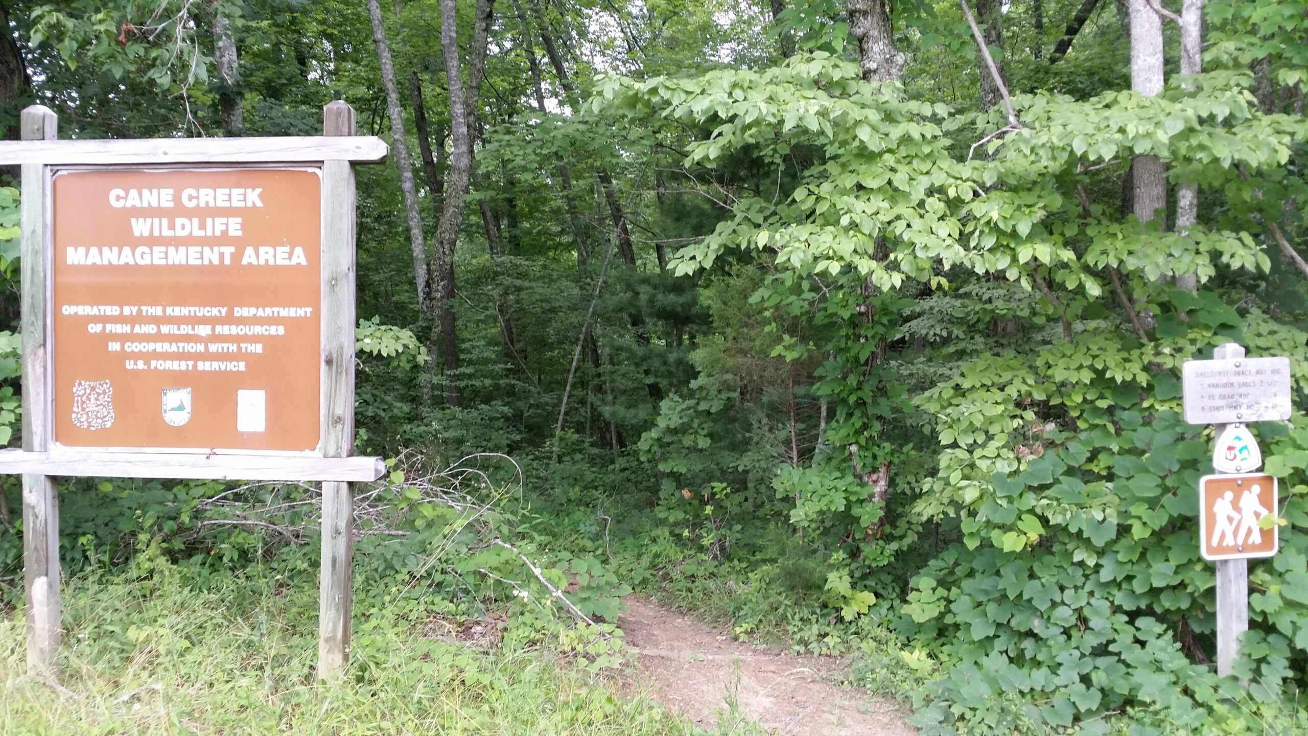 Sign marking the entrance to Cane Creek Wildlife Management Area in Kentucky, surrounded by dense greenery and trees. The sign provides information about the management area and its operation by the Kentucky Department of Fish and Wildlife Resources. A trail leading into the woods is visible, along with additional signage for hikers. Cane Creek (sheltowee Trace Trail) mountain bike trail.